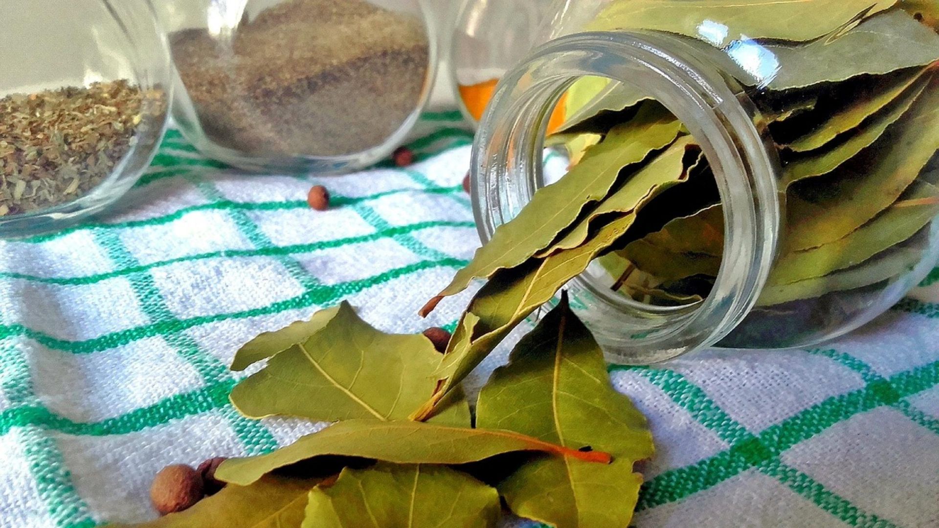 5. Feuille de laurier