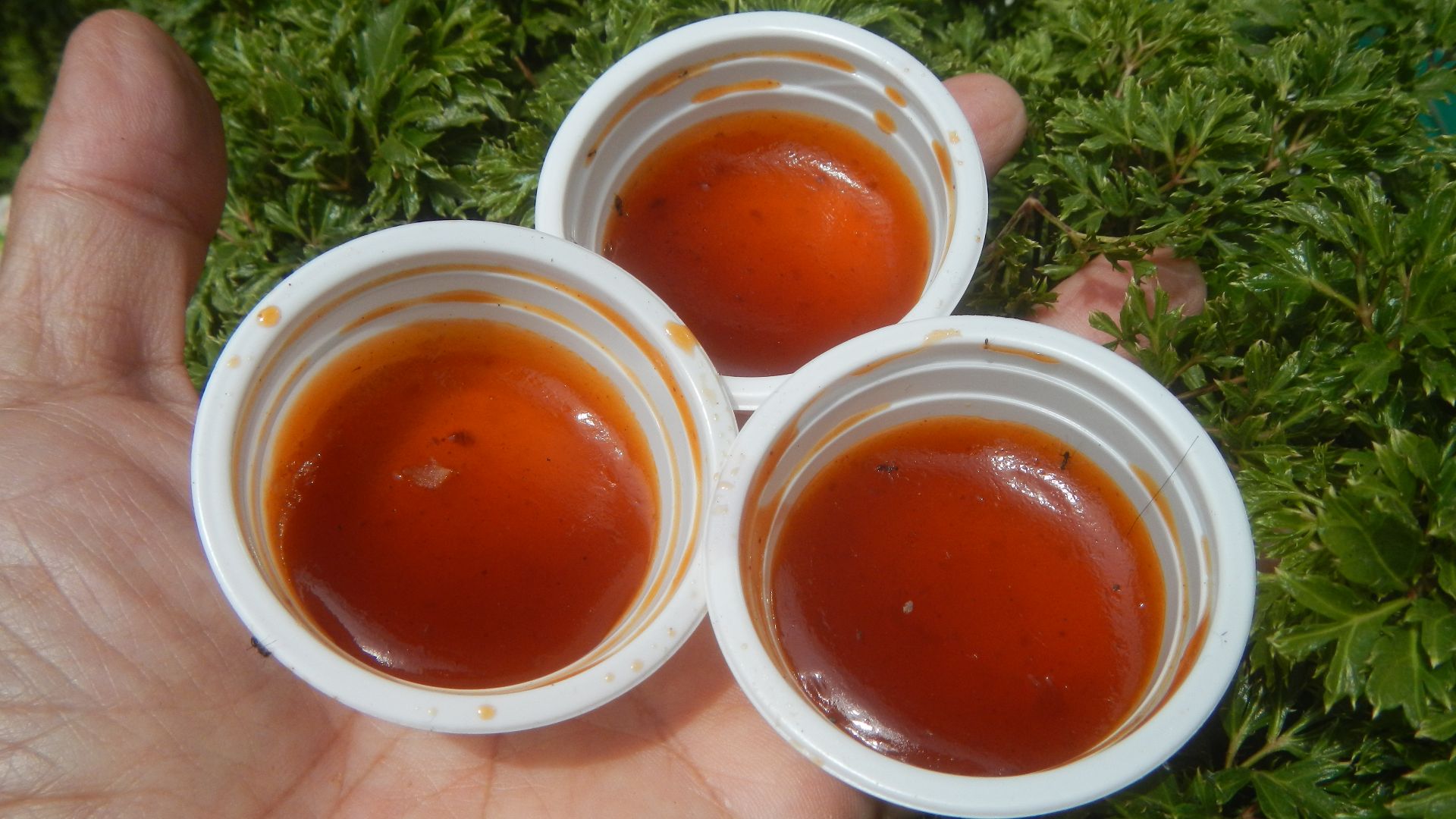 10. Base pour sauce aigre-douce
