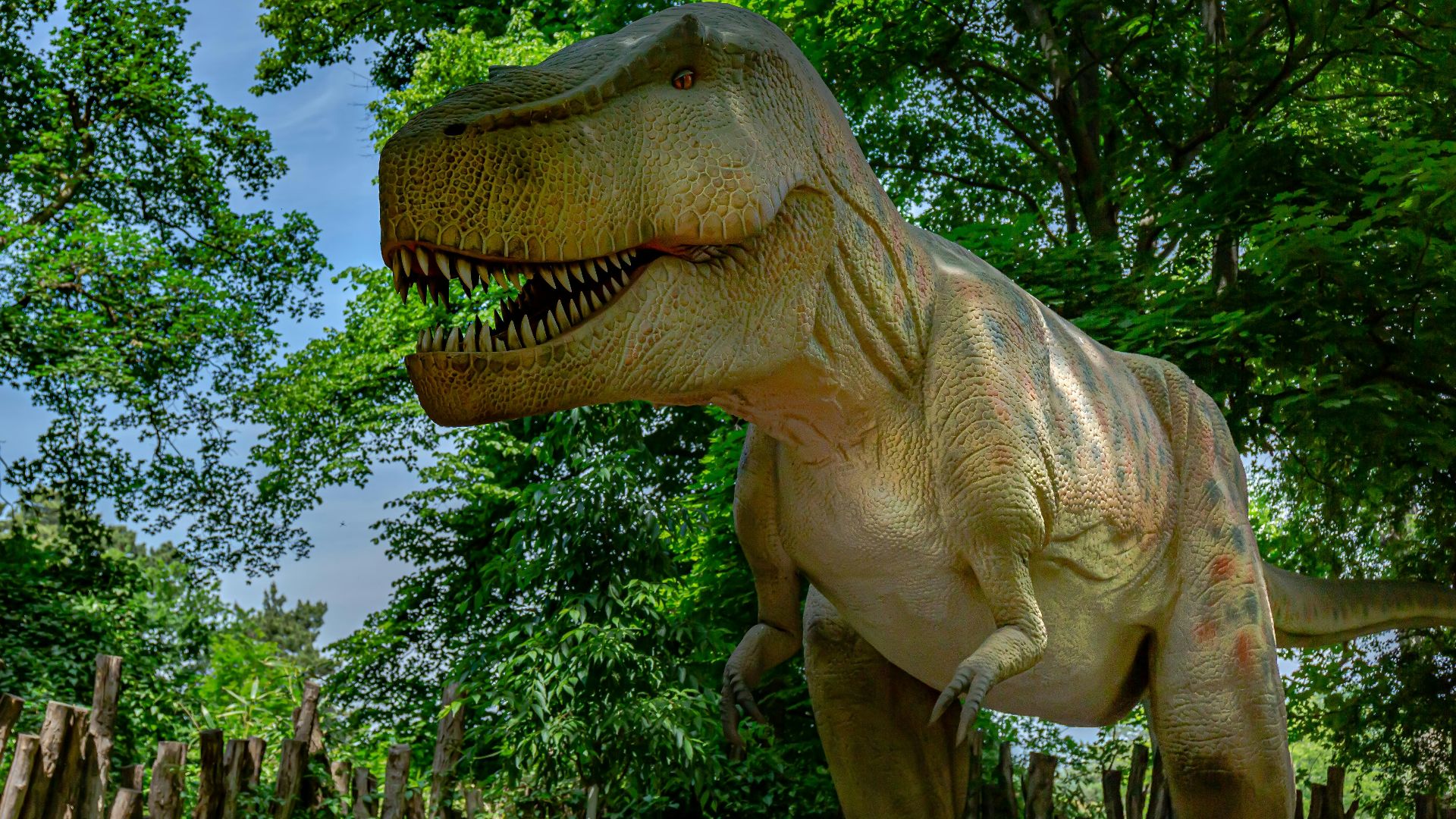 Le roi des dinosaures : 20 faits incroyables sur le T-Rex, l’un des prédateurs les plus féroces de l’histoire