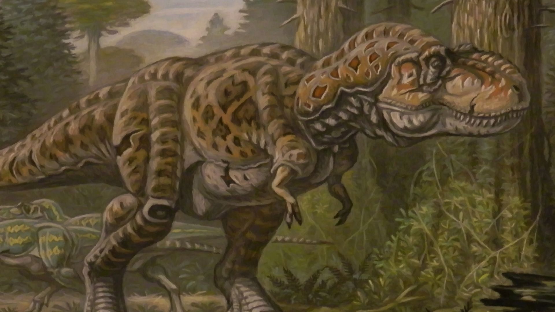 18. Des membres antérieurs étonnamment puissants