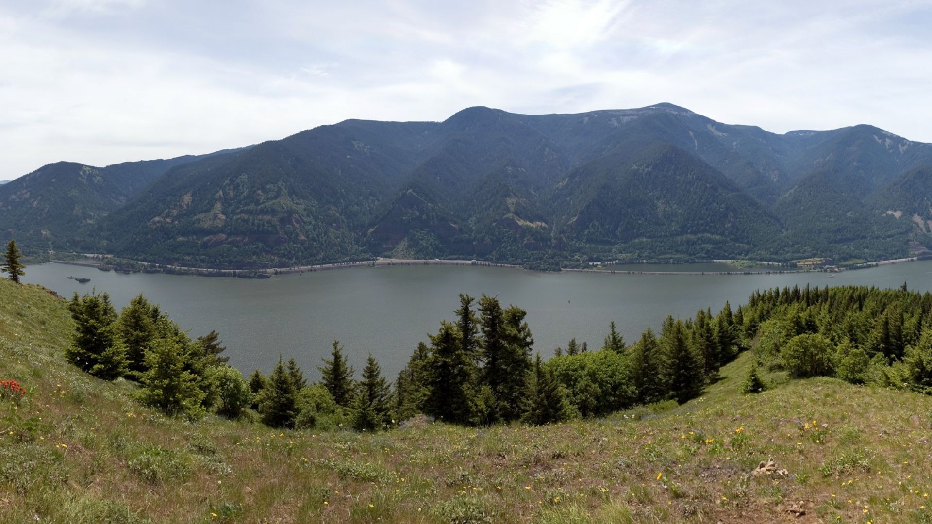 3. L'homme de Kennewick