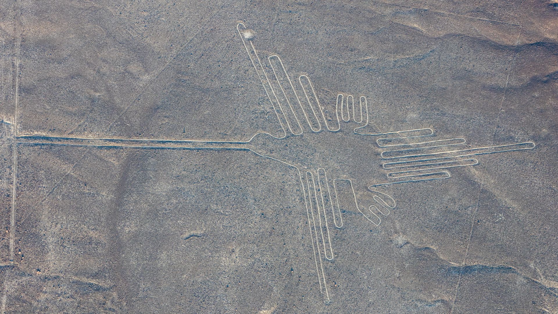 8. Les lignes de Nazca