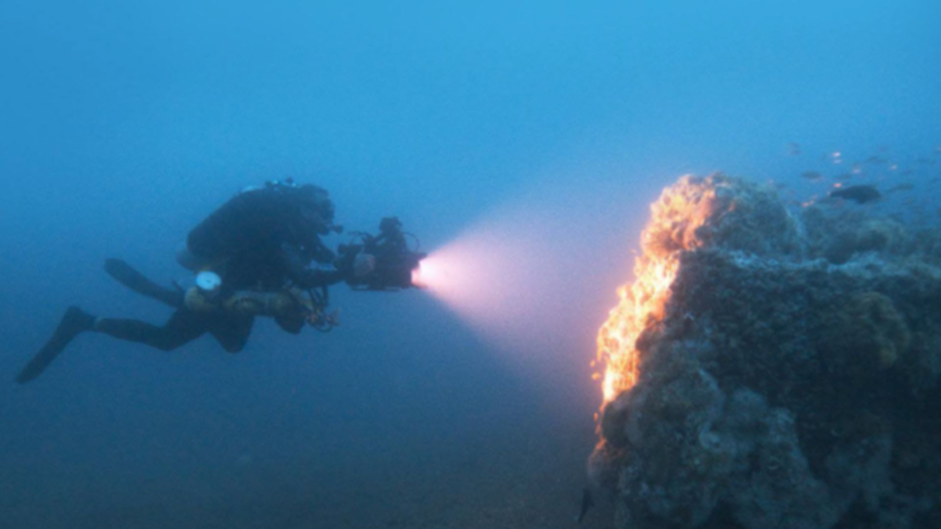 Les 20 découvertes sous-marines les plus cool de l’histoire