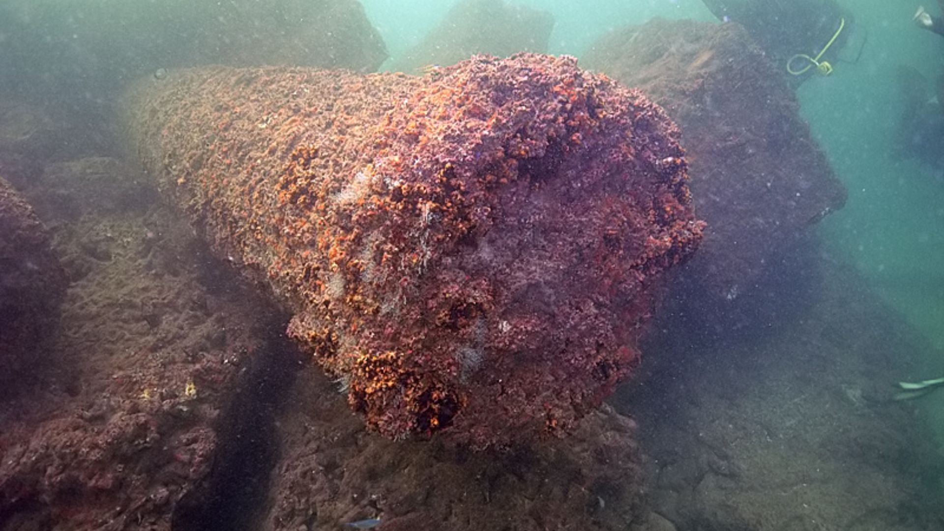 4. Le complexe palatial submergé d'Alexandrie