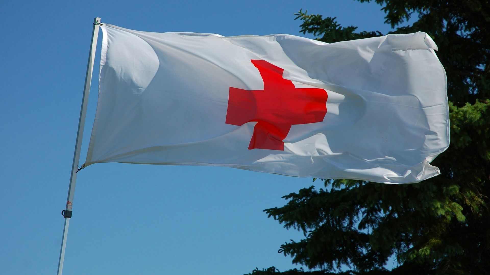 7. Comité international de la Croix-Rouge (plusieurs années)