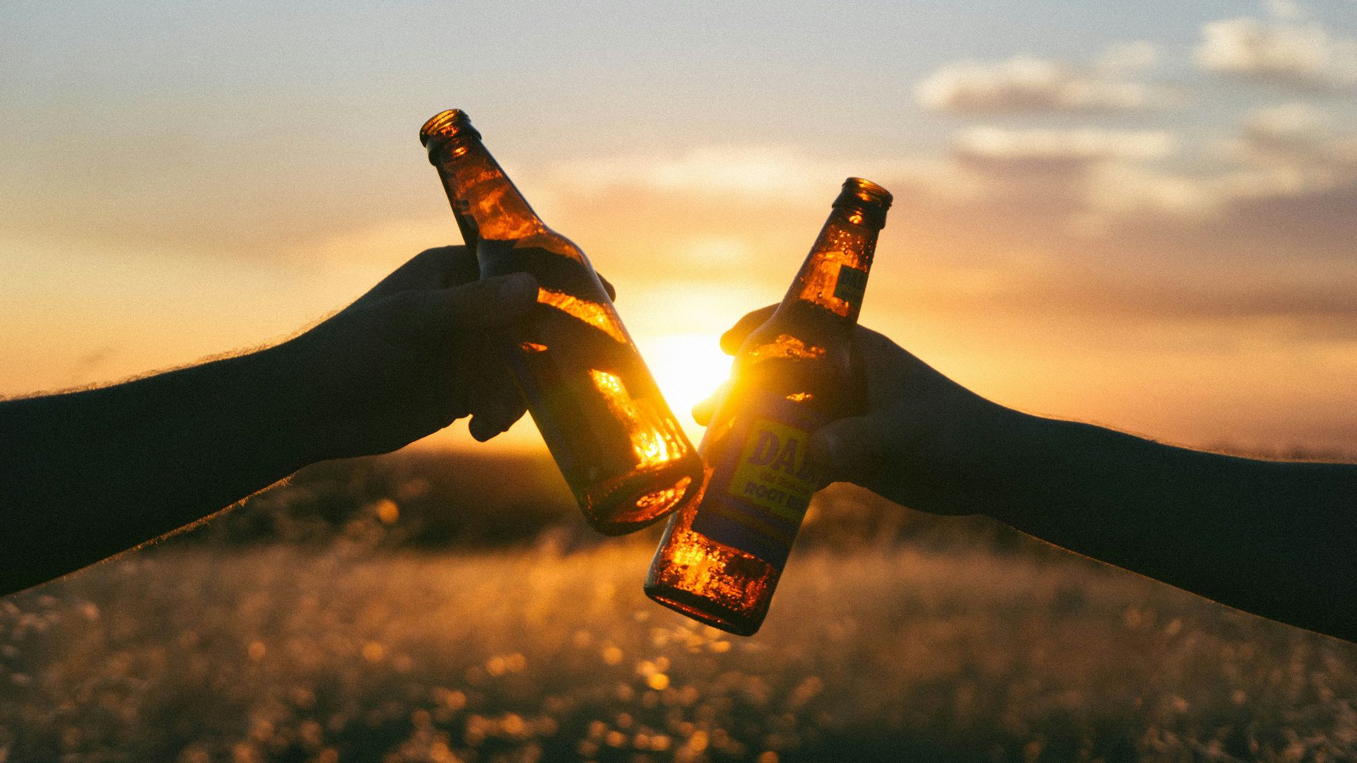 6. L'effet réel de l'alcool sur votre organisme