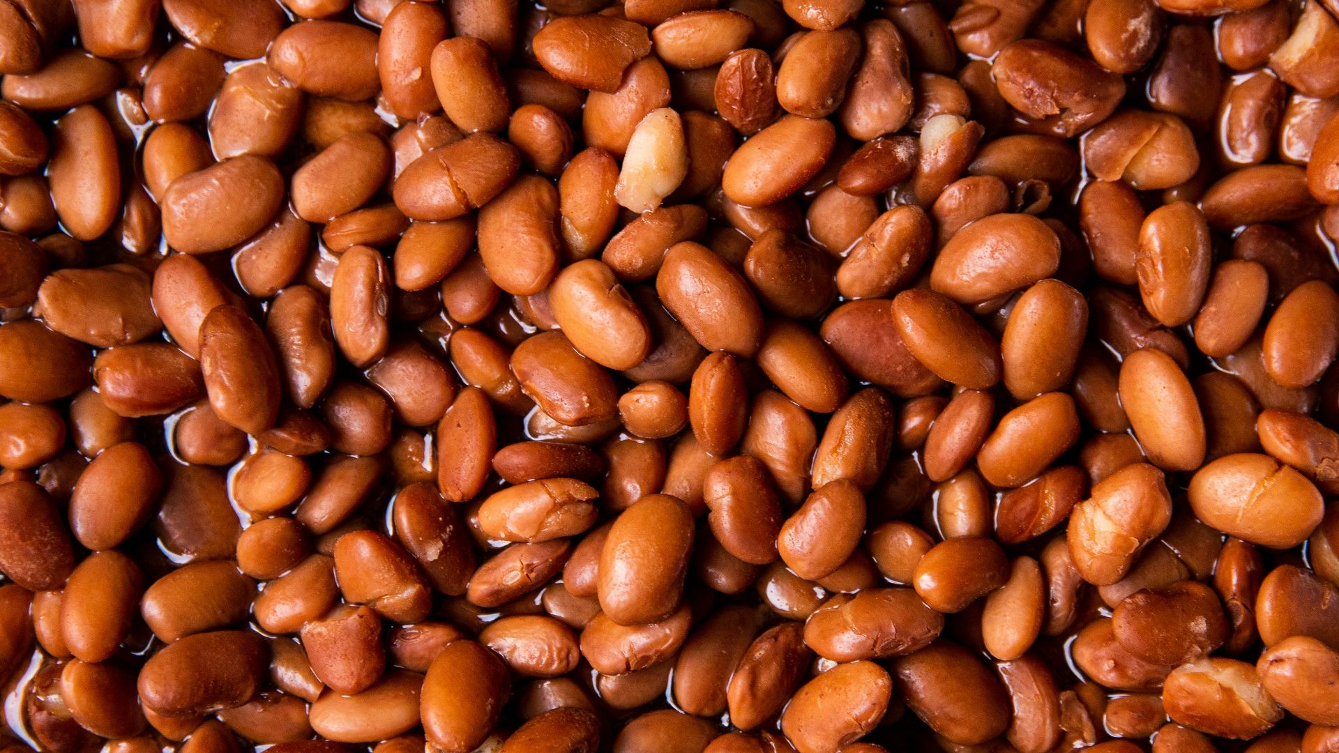 5. Haricots en conserve