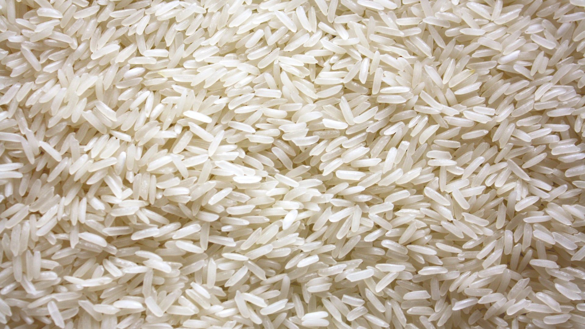 6. Riz