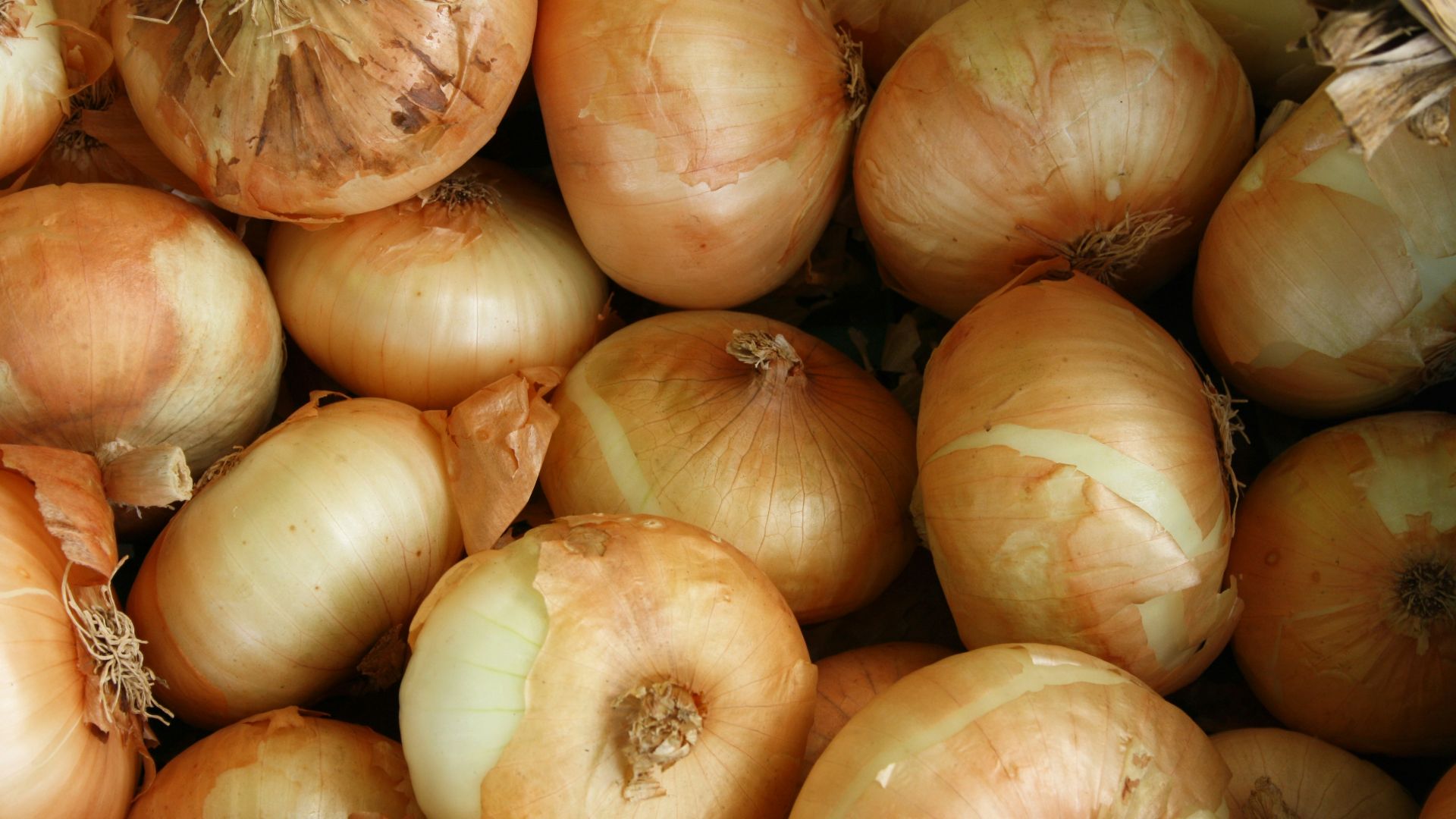 9. Oignons
