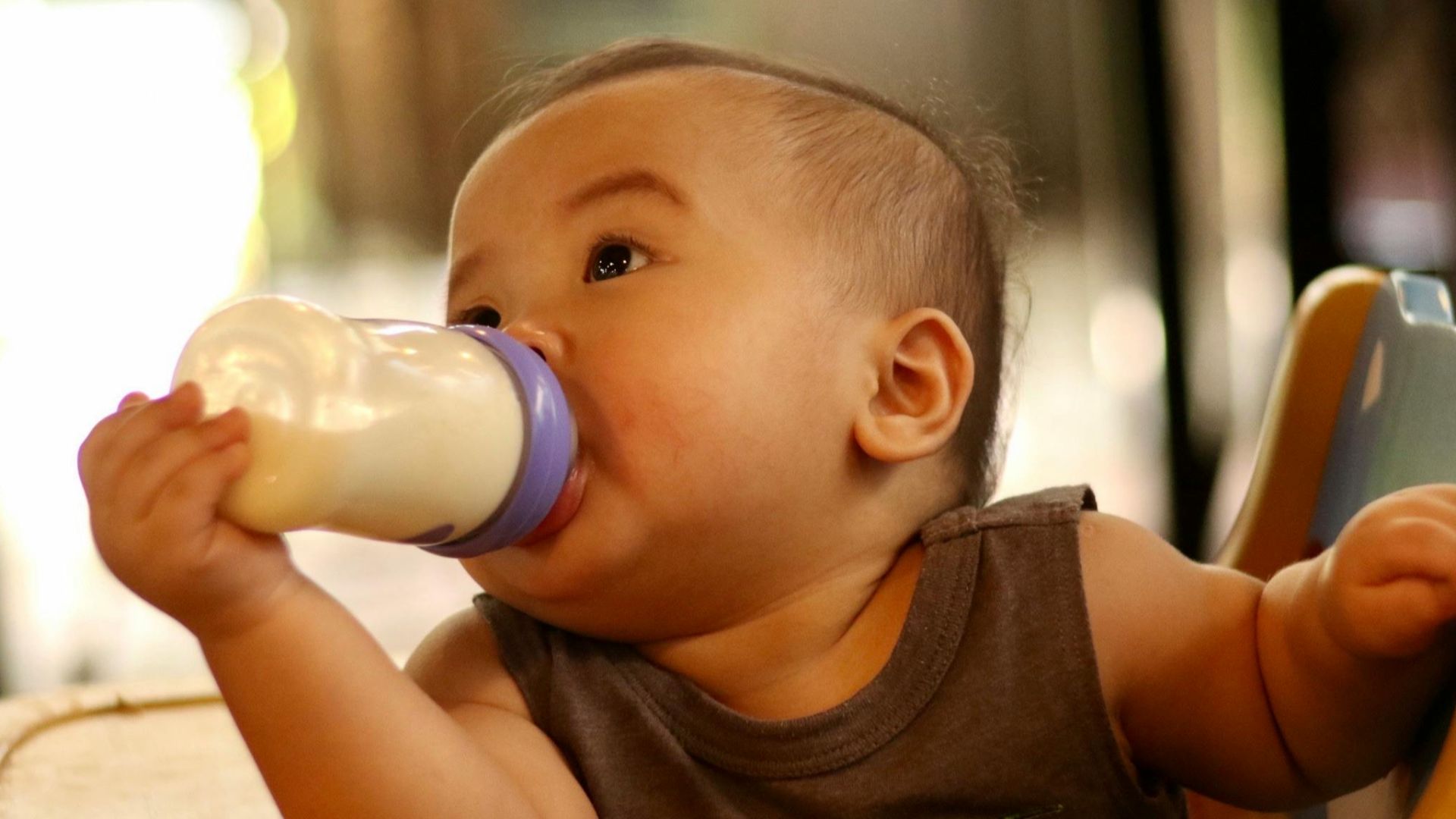 7. Lait