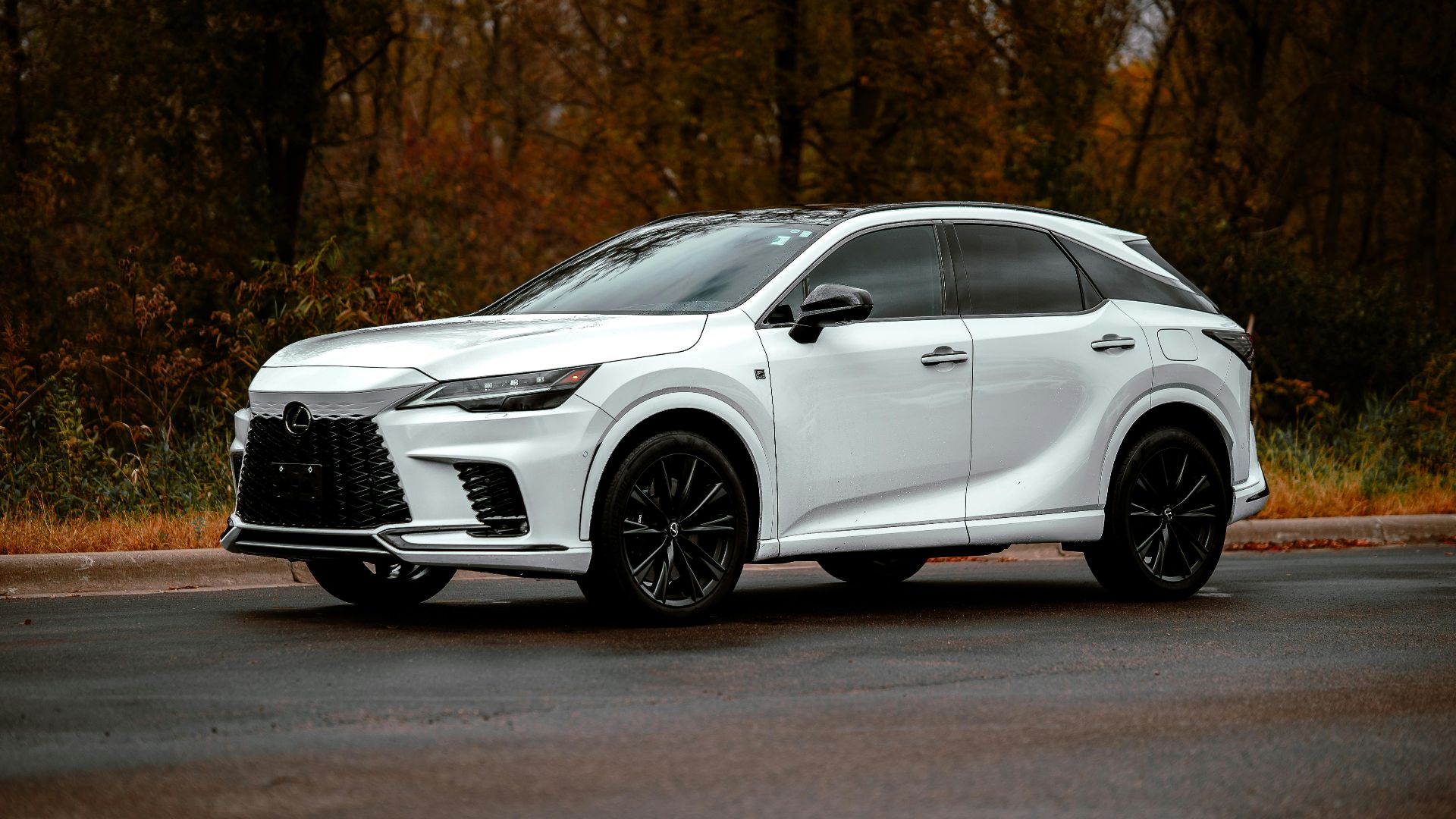 19. Lexus RX Hybrid