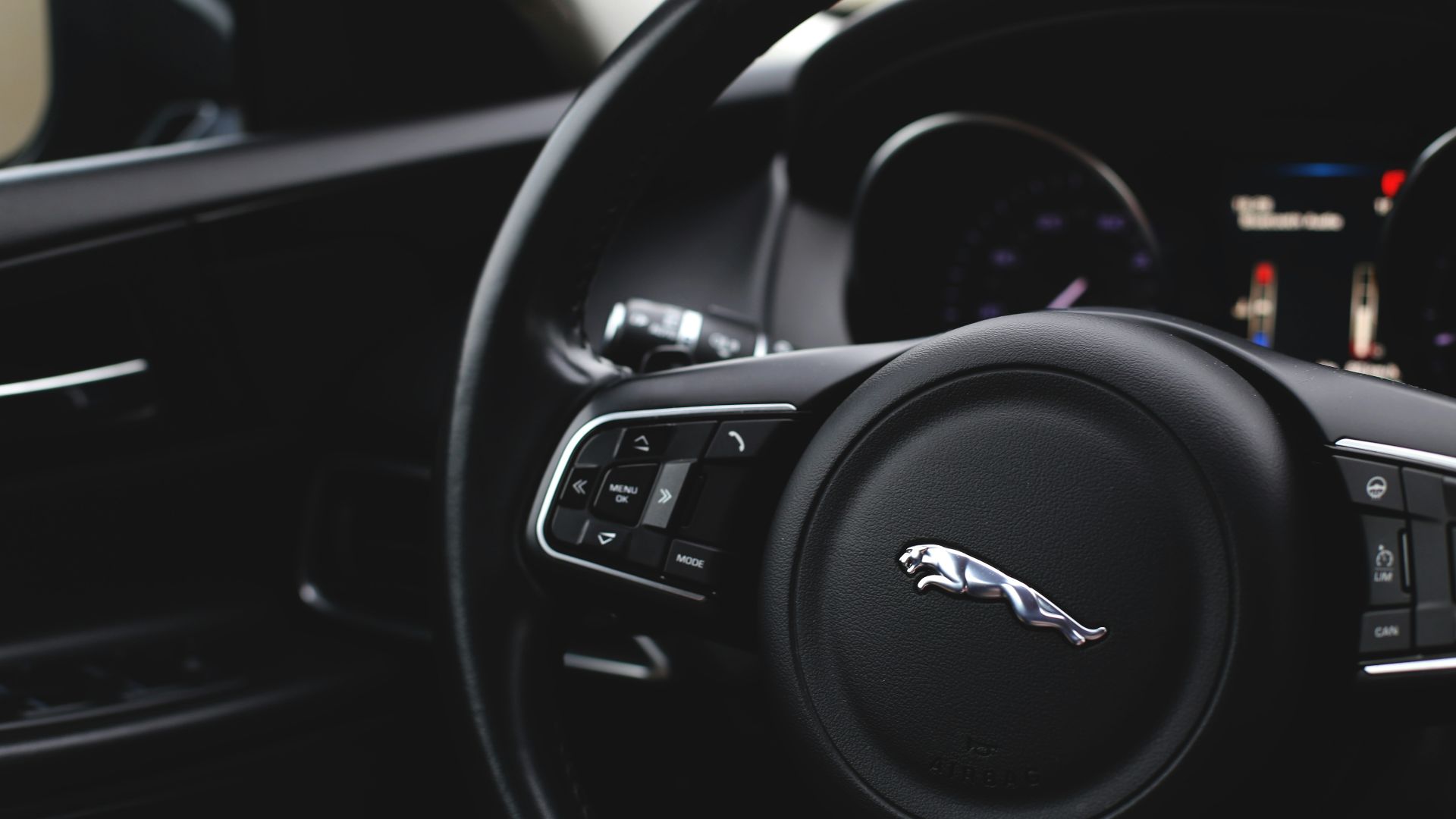 3. Jaguar