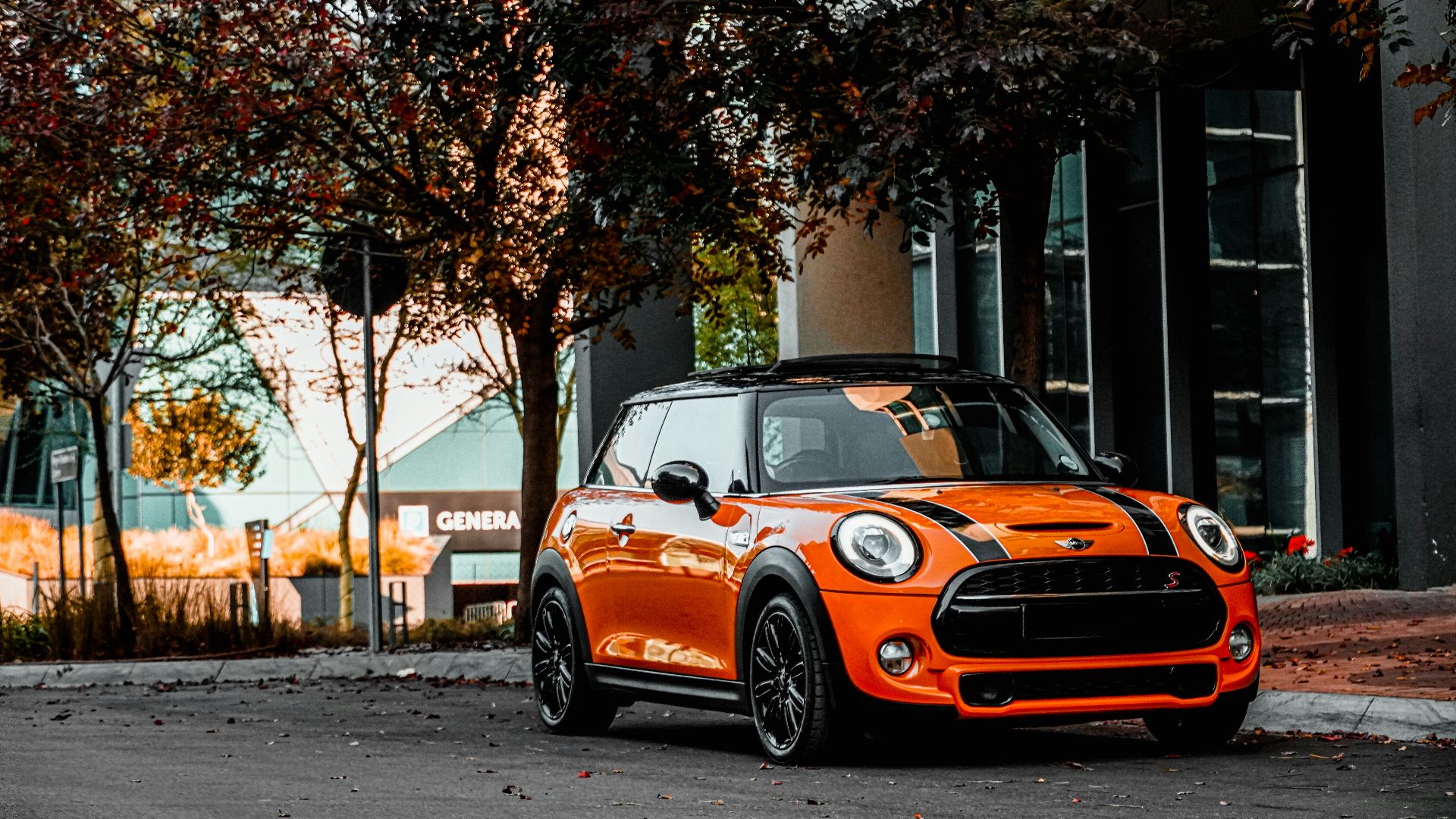 7. Mini