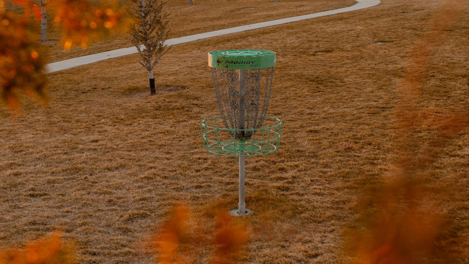 20. Jouez au frisbee golf