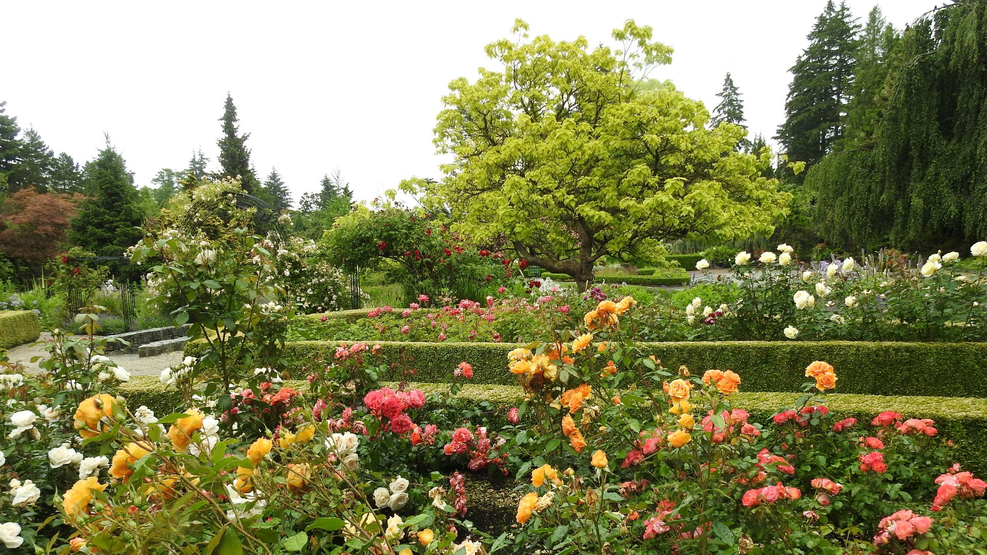 14. Visitez une attraction locale