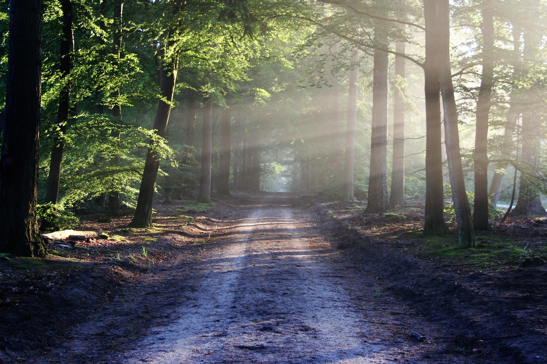 2. Take your child for a walk in nature