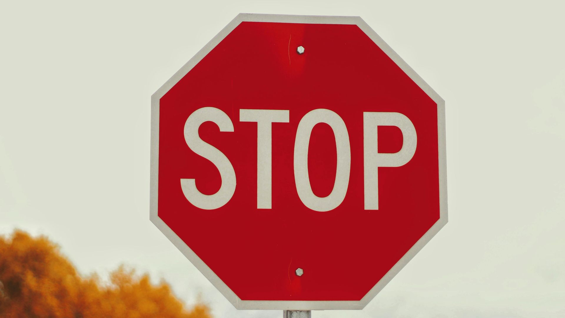 7. Ne pas s'arrêter aux panneaux « Stop »