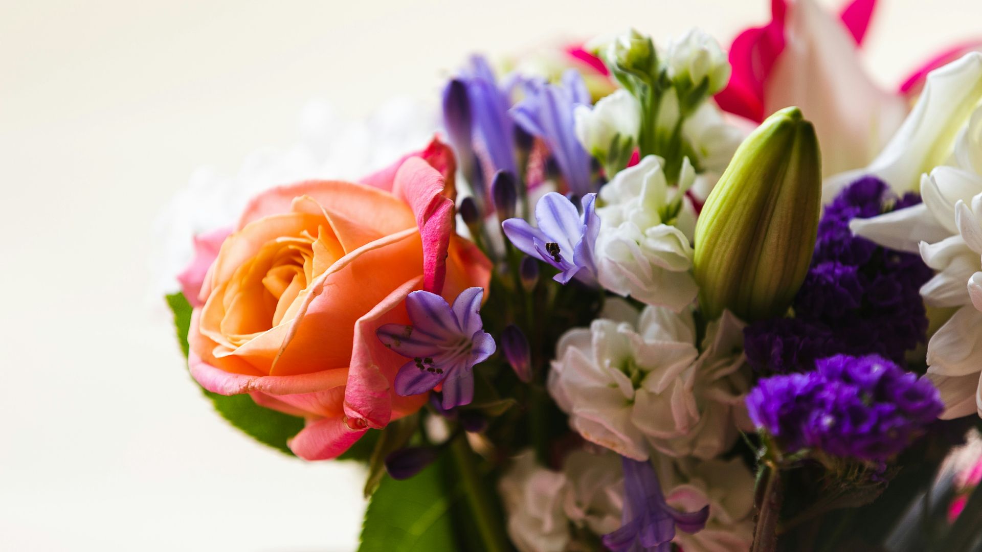 2. Leurs fleurs préférées