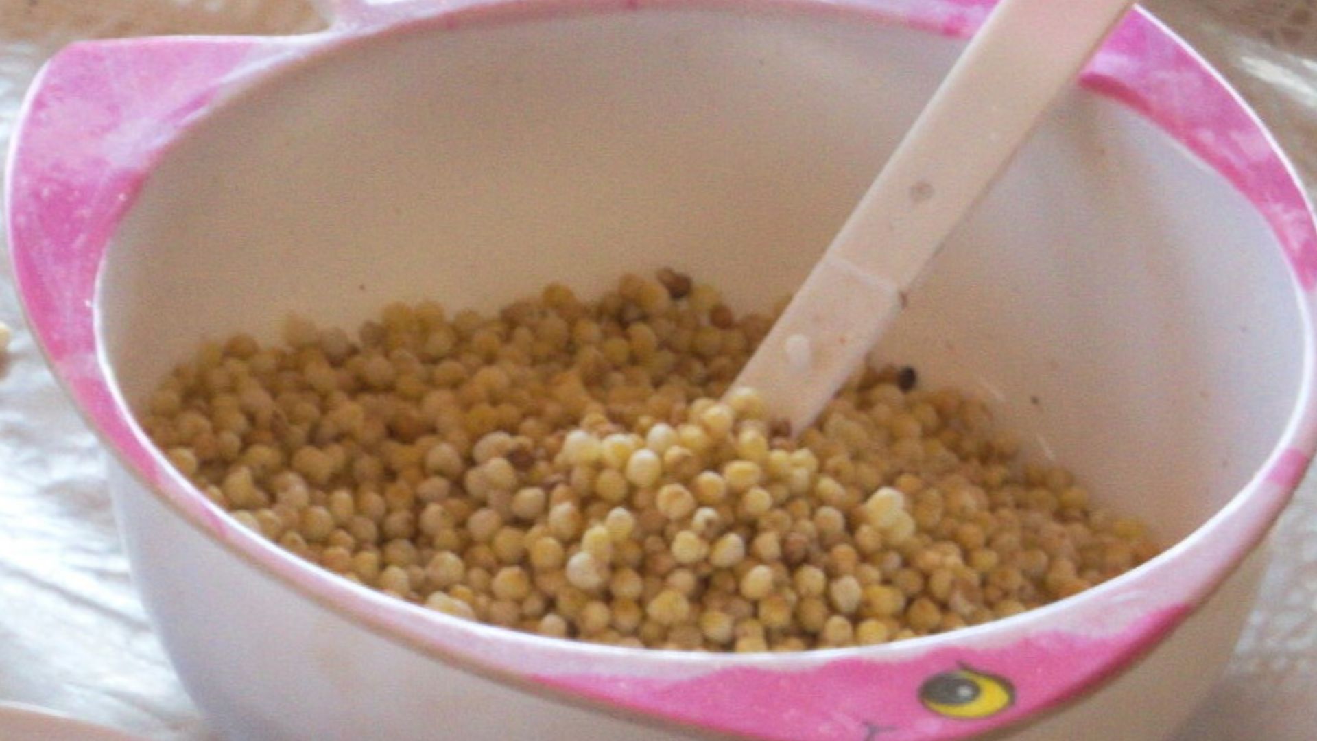 19. Bol de millet préparé la veille