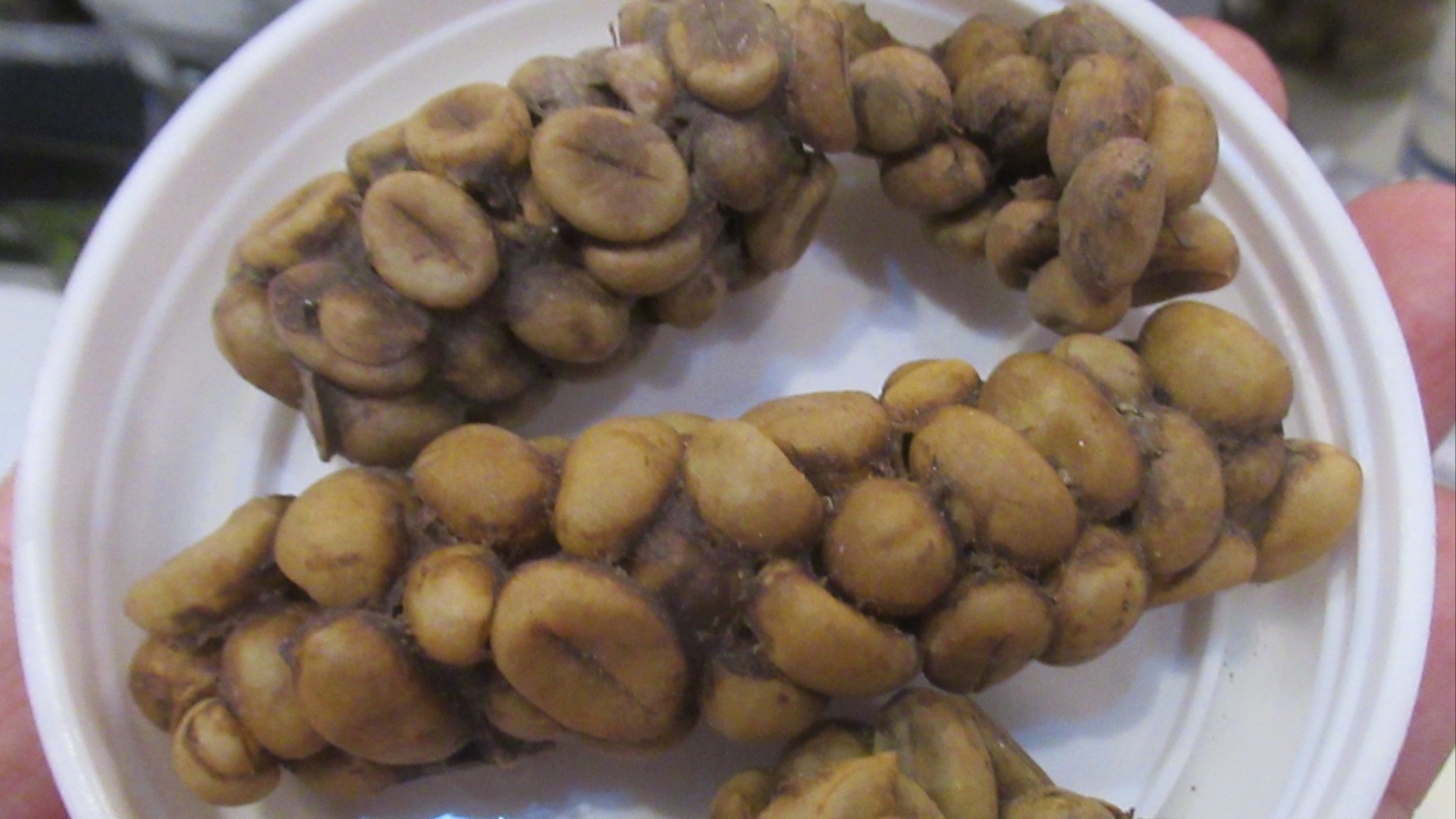 Les 20 aliments les plus chers au monde