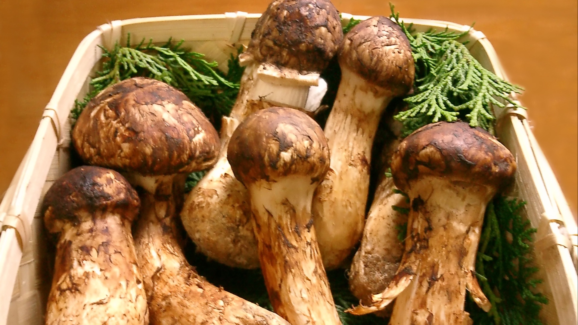 6. Champignons matsutake