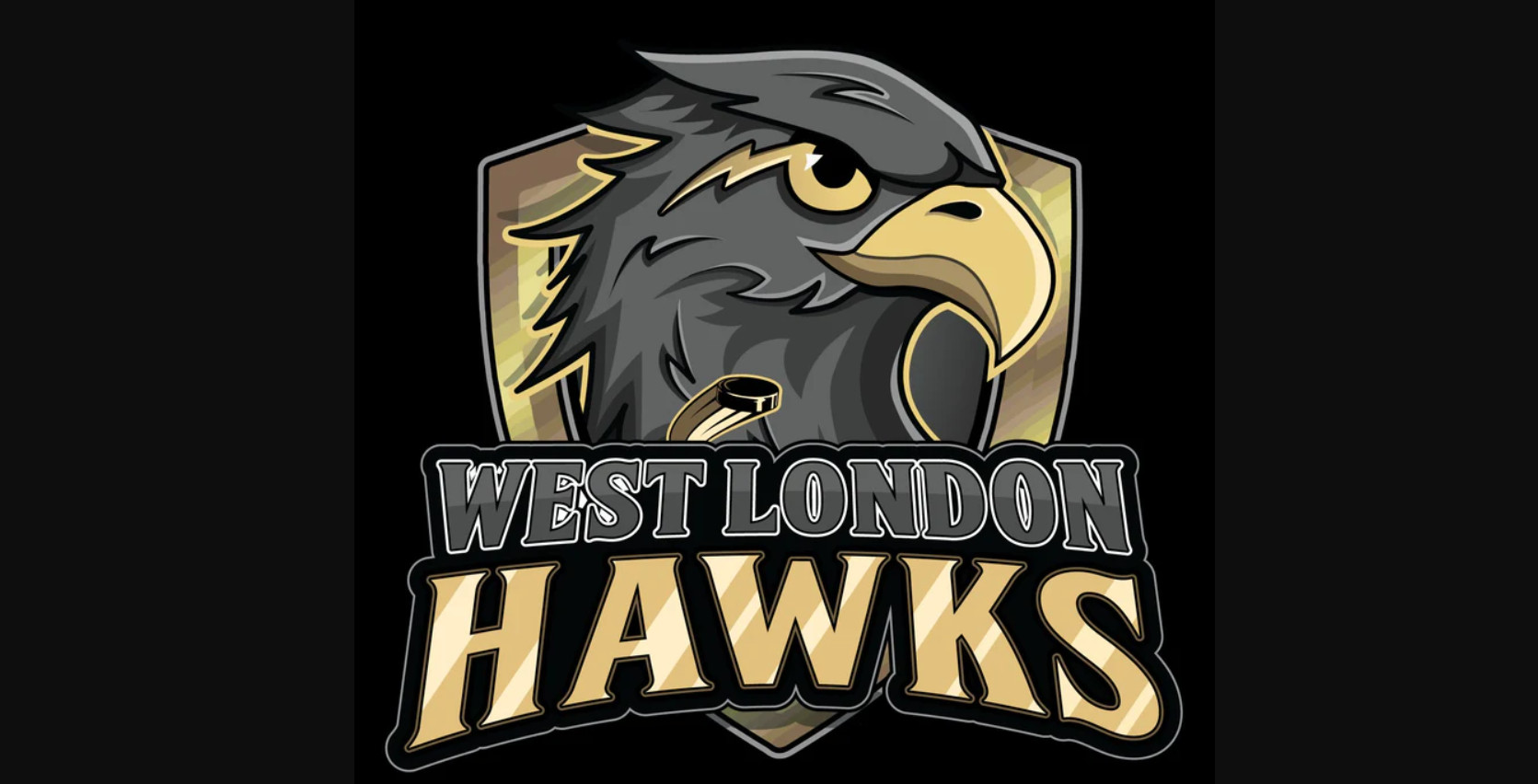 Images of naked hockey players on Snapchat: two young players and three coaches suspended