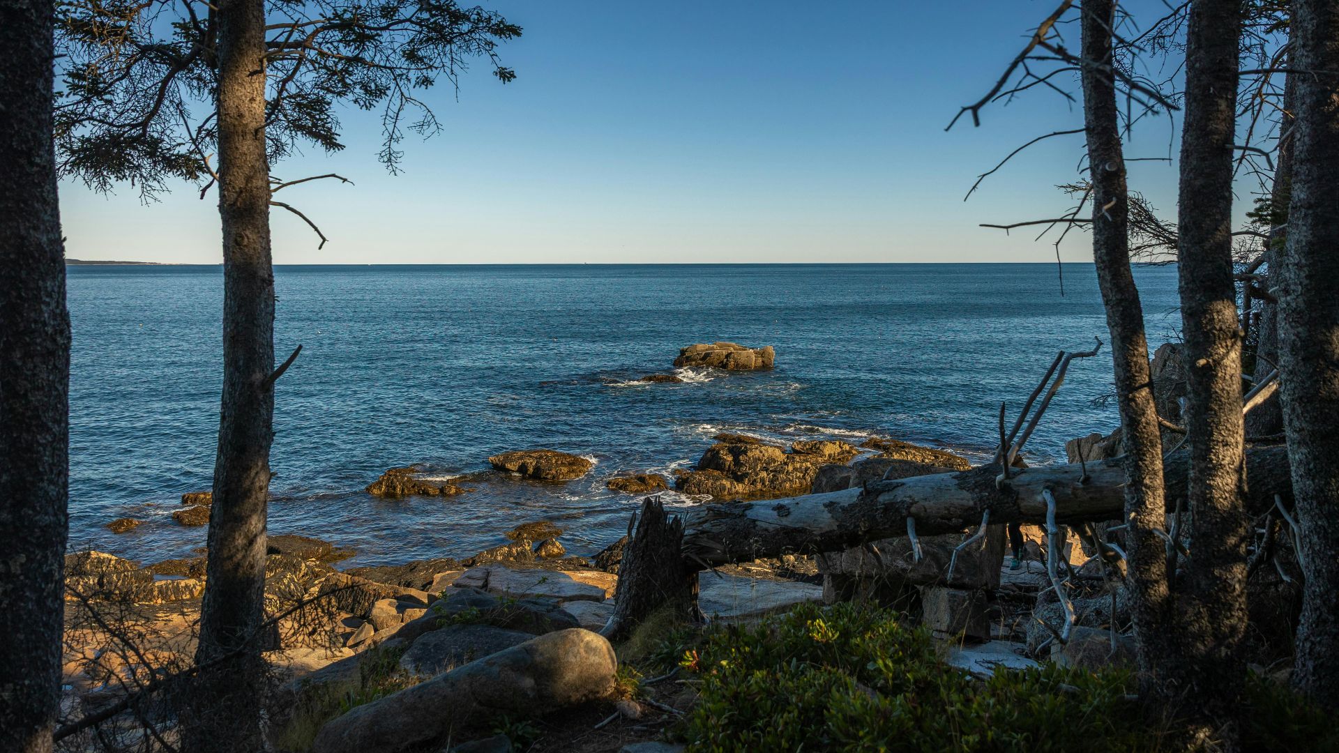 20. La crise d'Aroostook