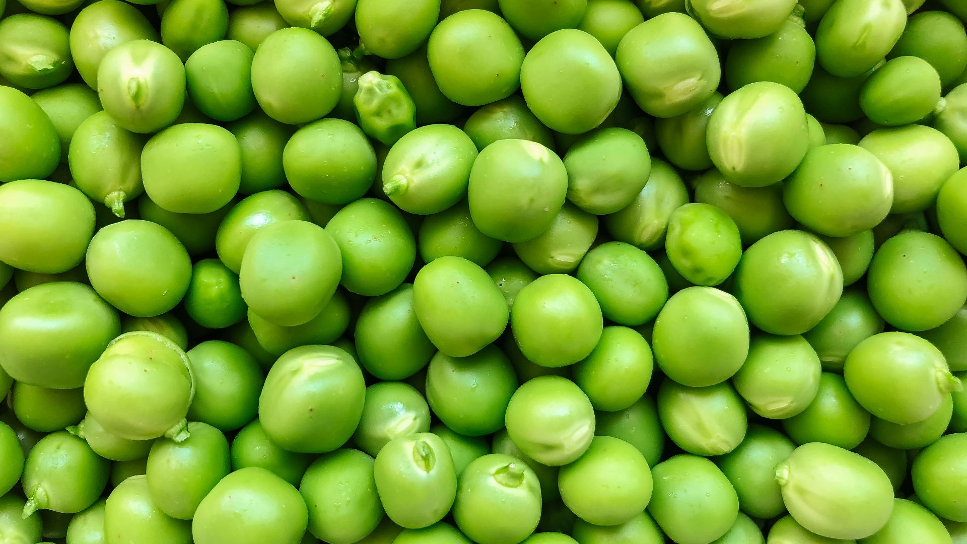 1. Petits pois