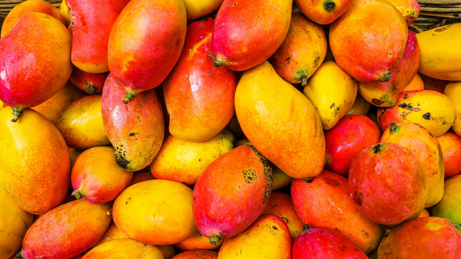 5. Mangue