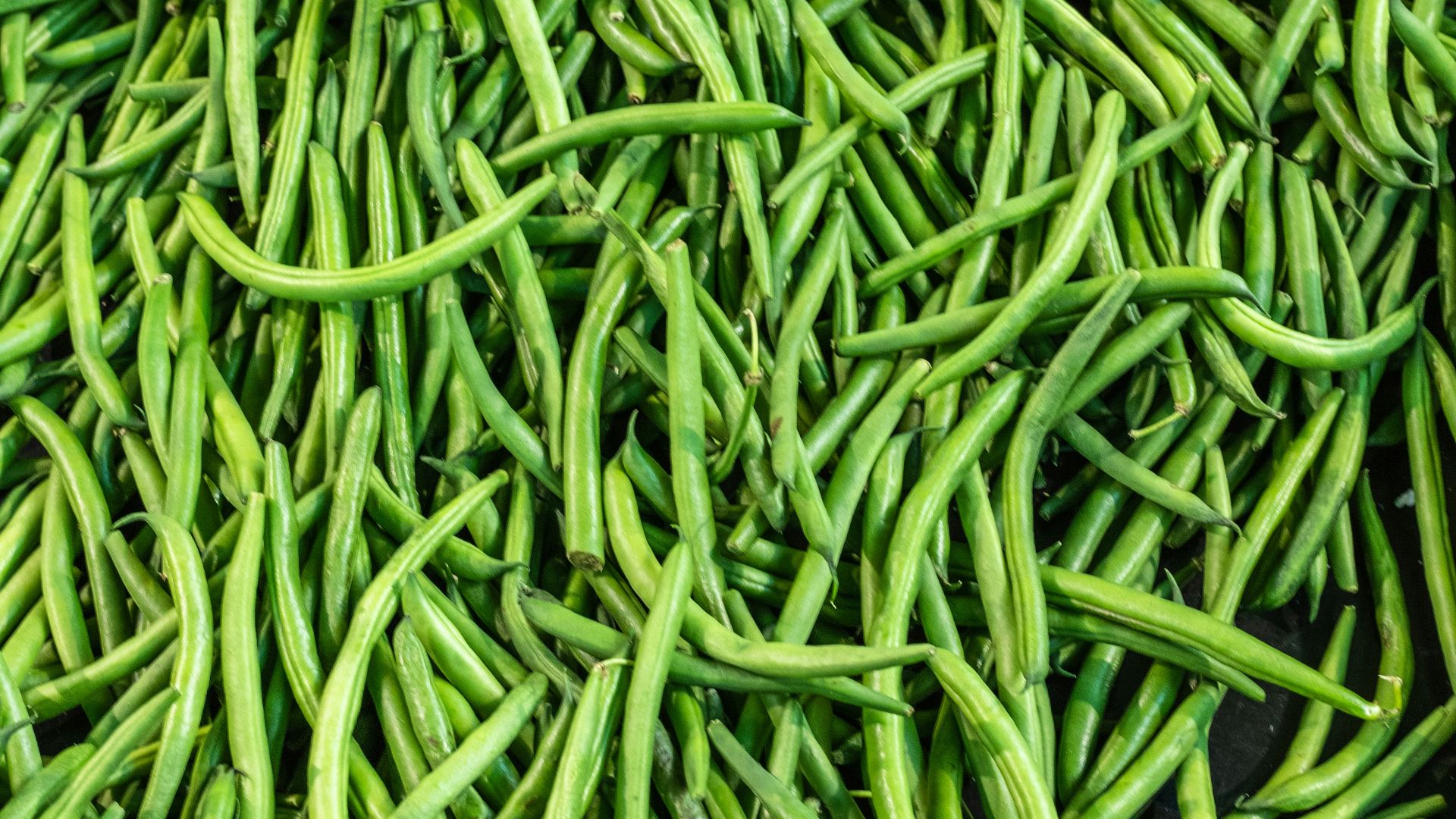 8. Haricots verts