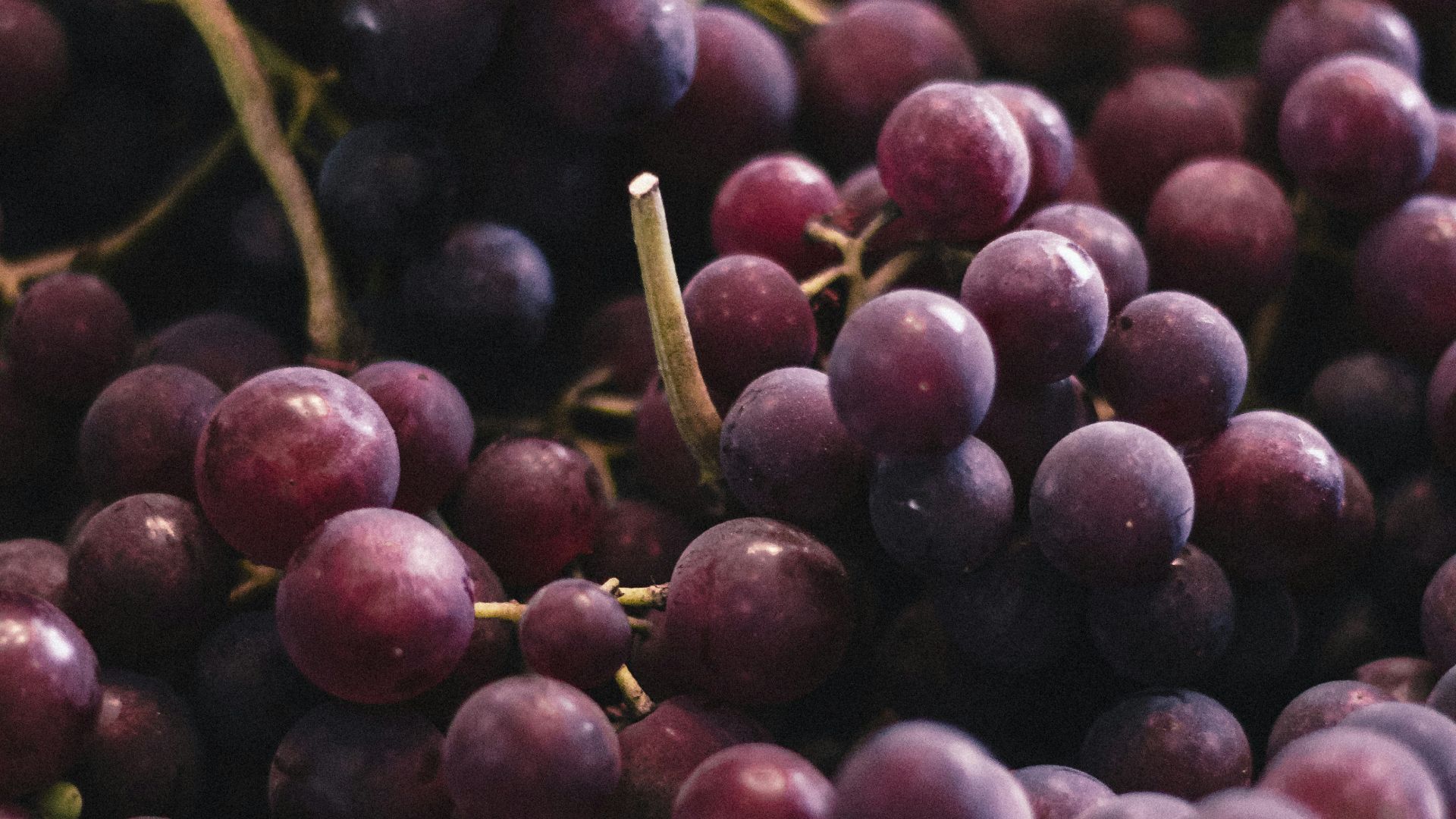 19. Raisins