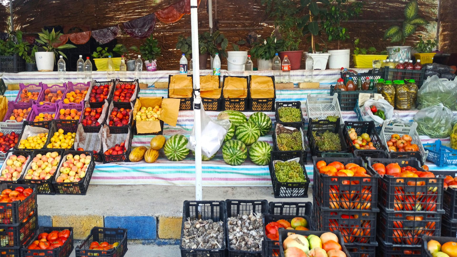 4. Choisir des aliments qui se périment rapidement