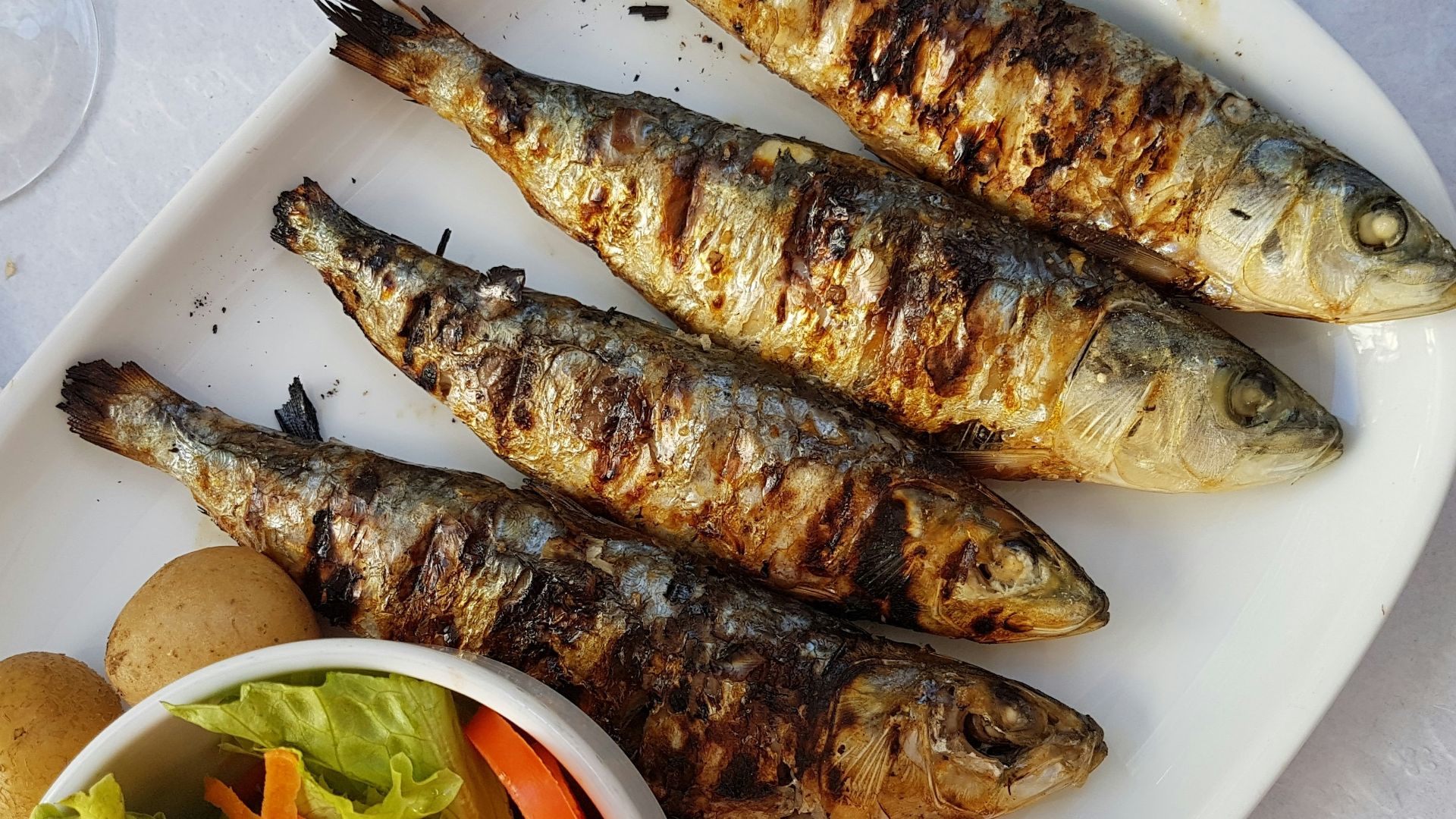 18. Sardines