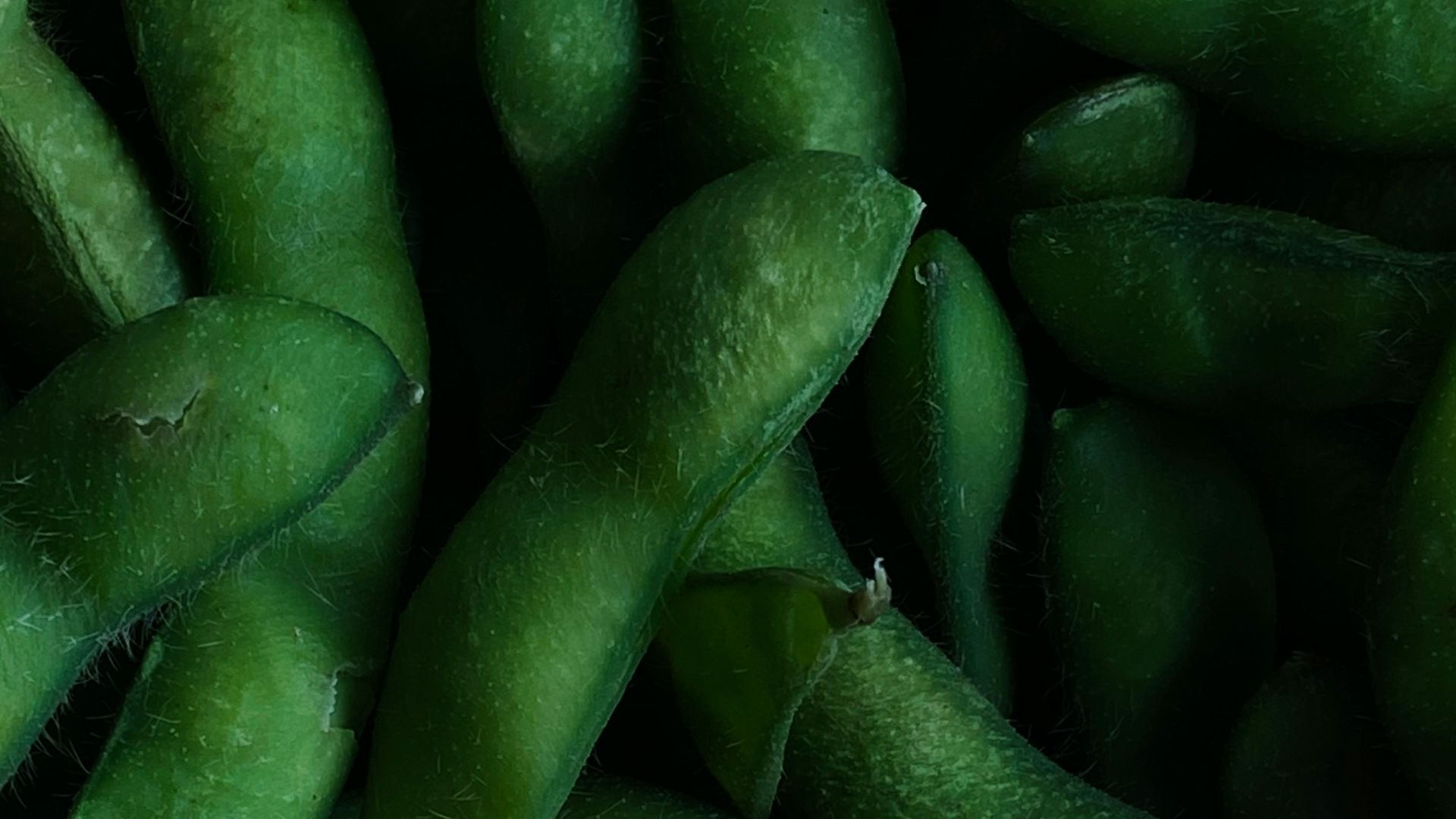 13. Salade d'edamame