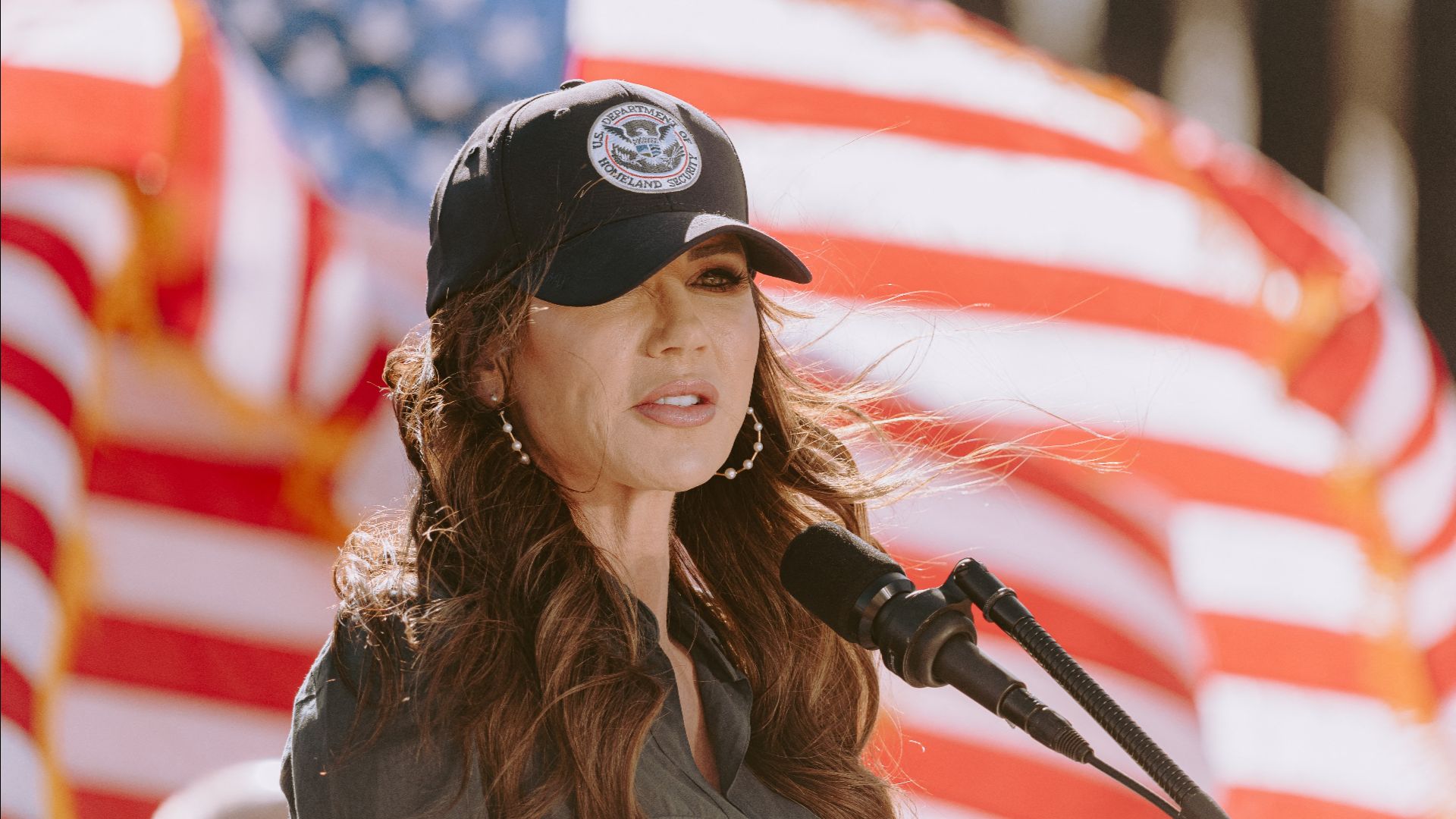 A dog and a stun gun