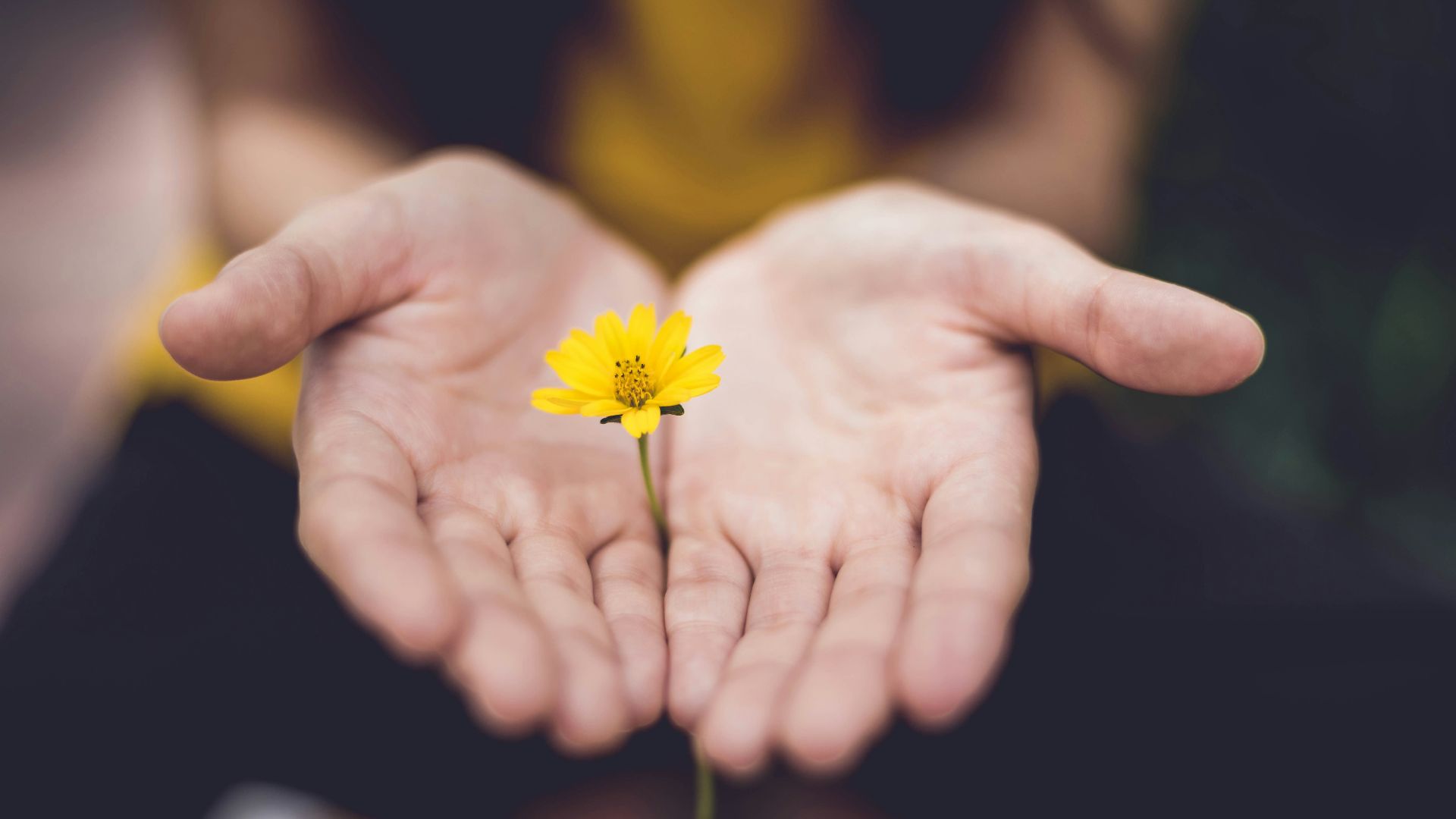 12. Cela peut provoquer des sensations de brûlure ou des picotements dans les mains.