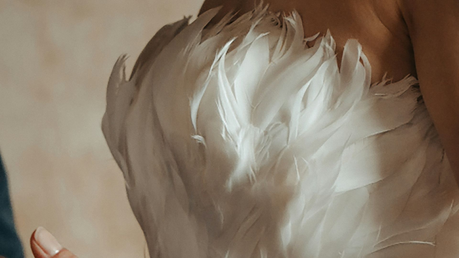 16. Accents de plumes