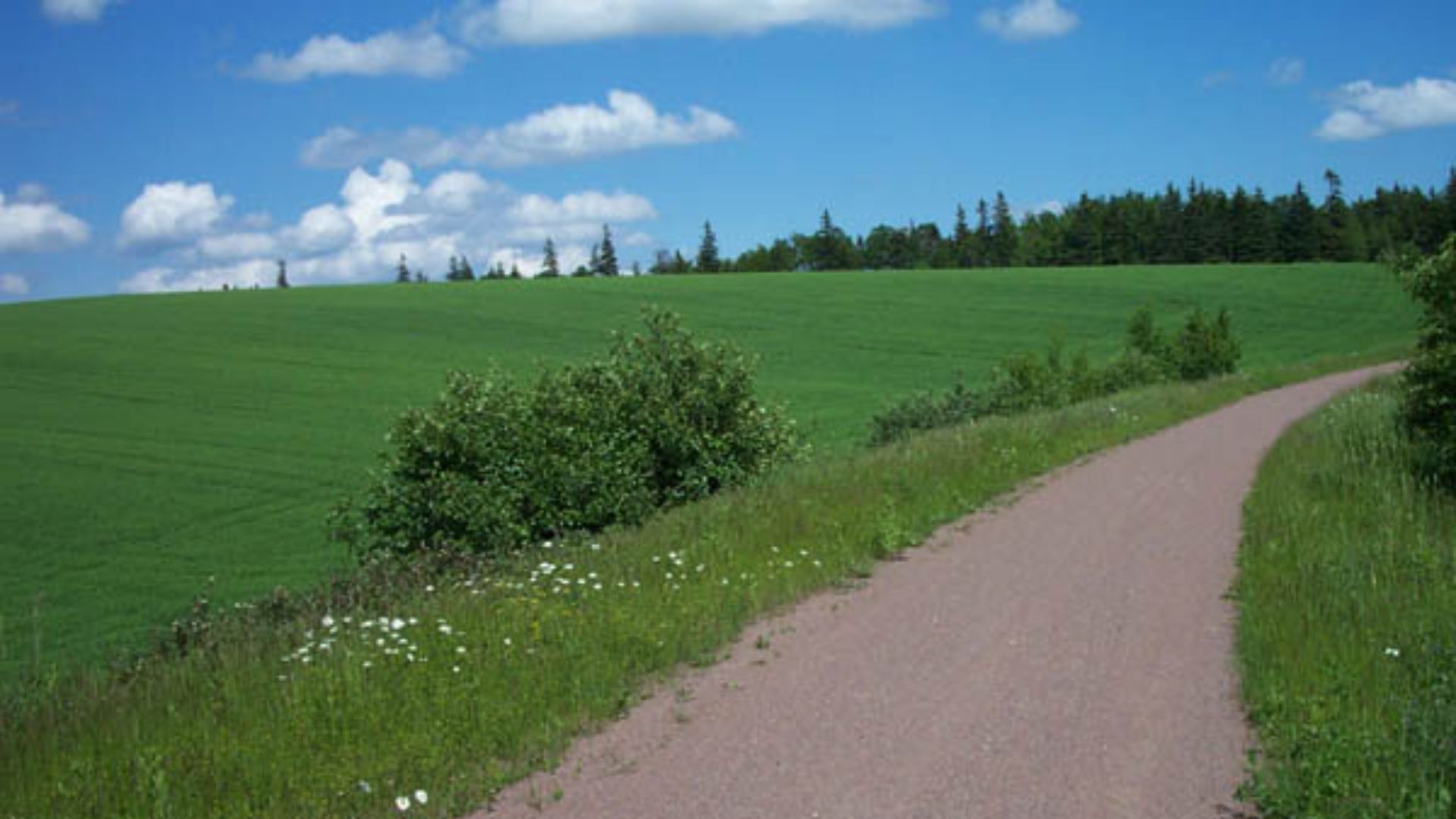 3. Sentier de la Confédération depuis Charlottetown
