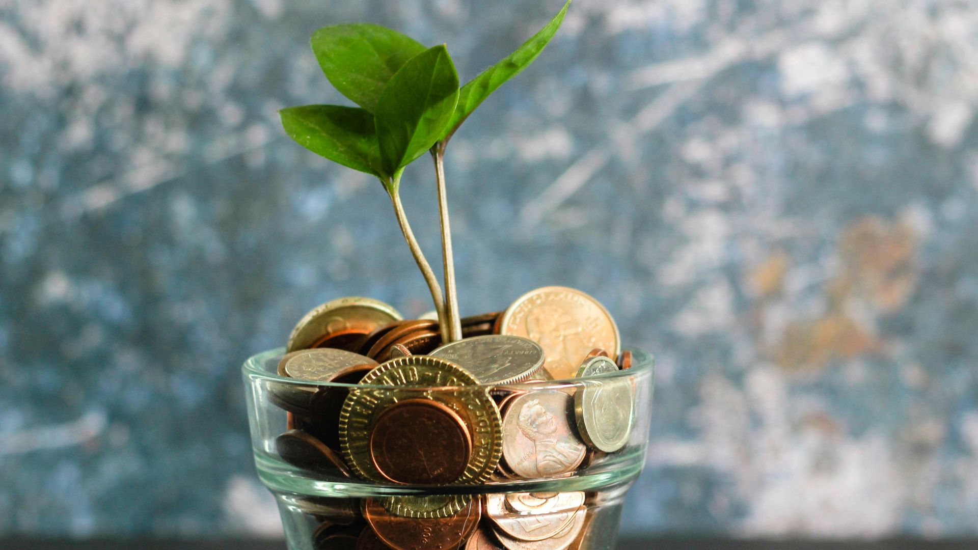 6. Elle s'occupe de ses finances ou de ses papiers administratifs.