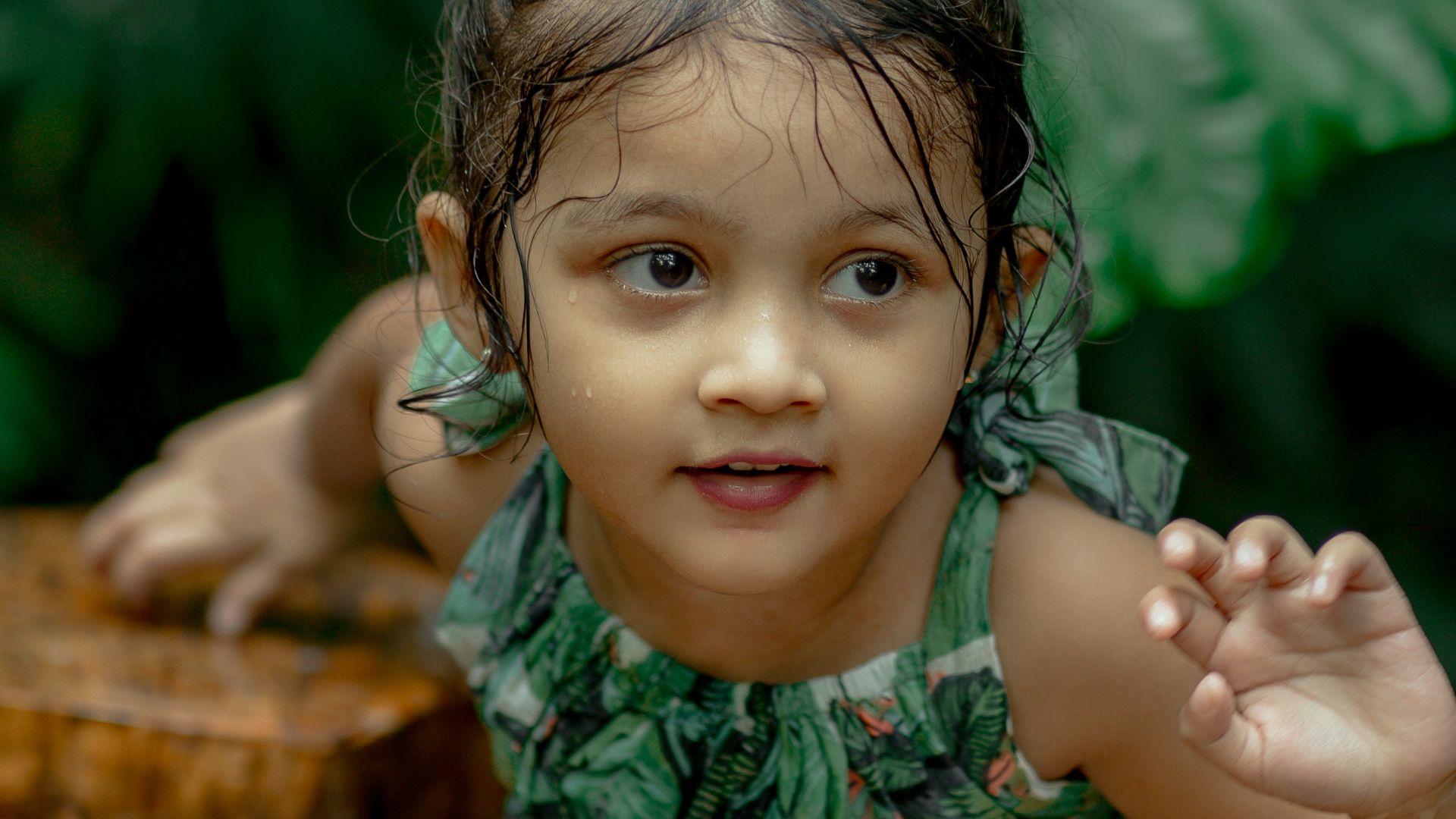1. Amelia