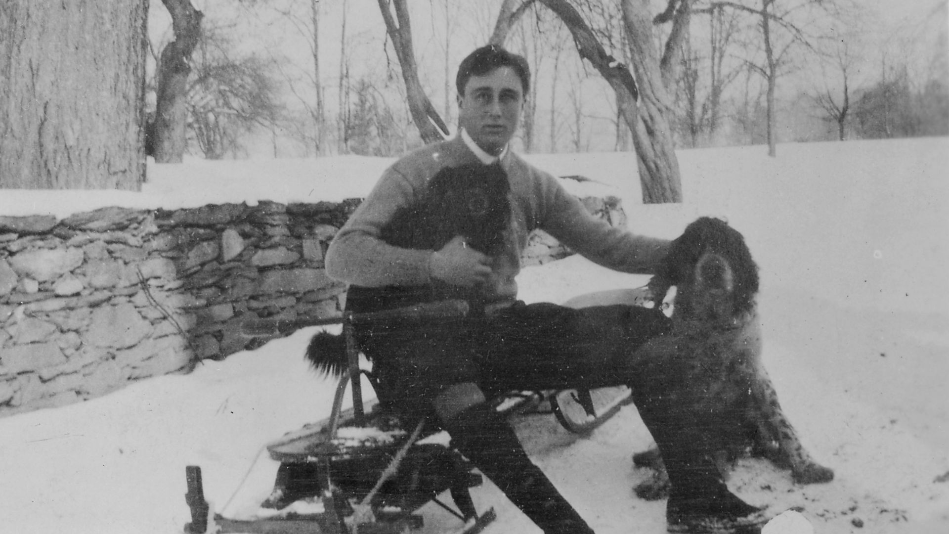 10 personnages historiques célèbres pour leur amour des chiens et 10 autres qui préféraient les chats