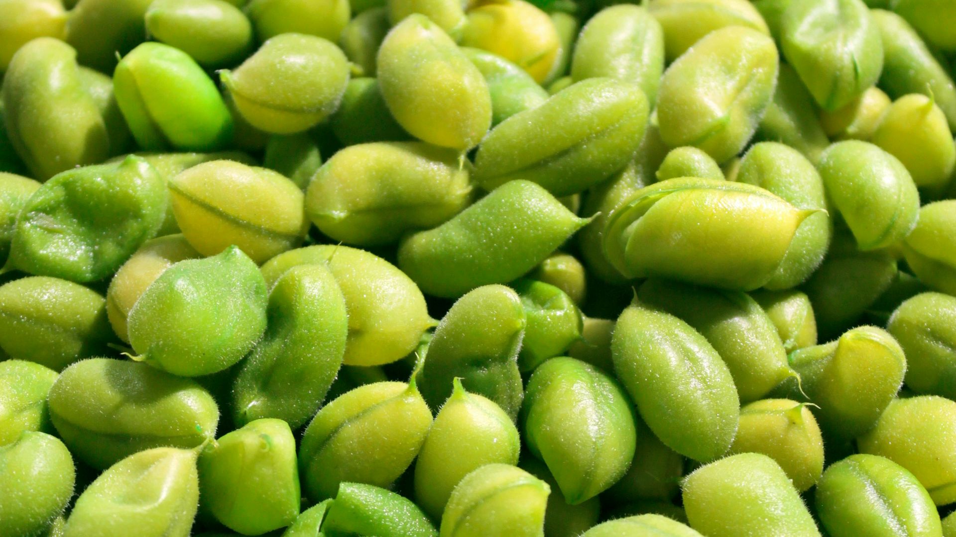 8. Edamame cuit à la vapeur dans sa cosse