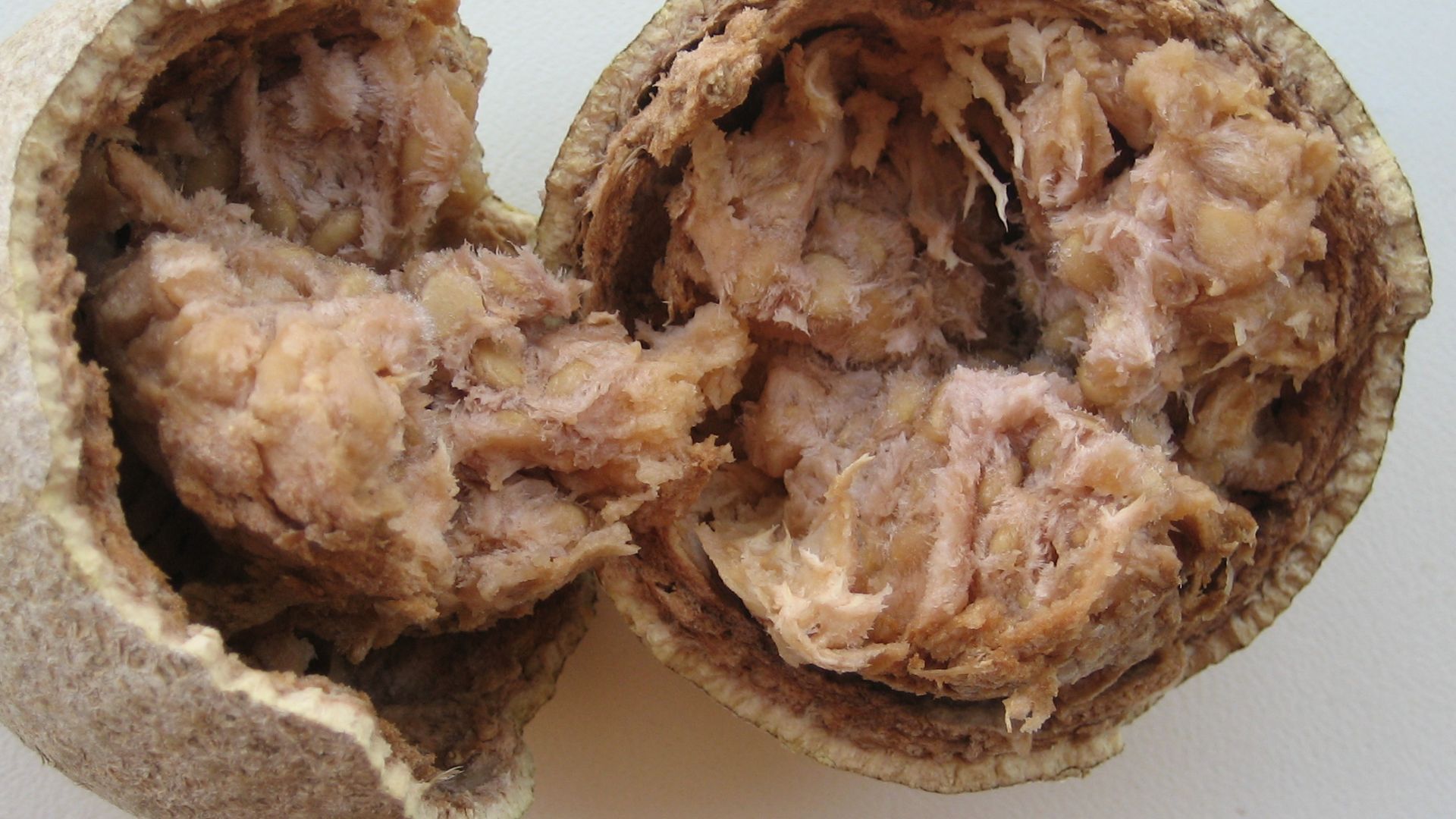 8. La pomme de bois d'Asie du Sud