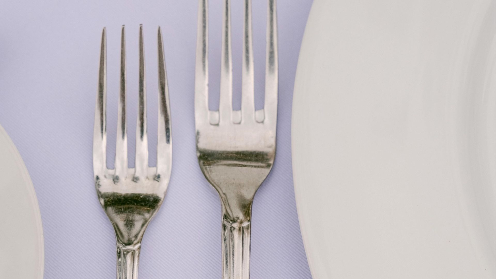 6. Une abondance de plats