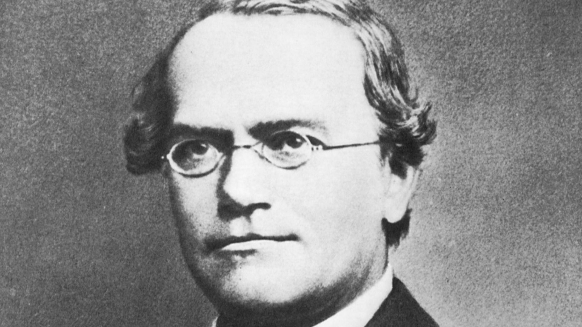 5. Gregor Mendel – Père de la génétique