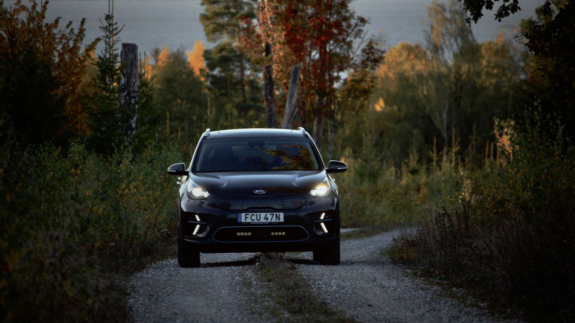 5. Kia Niro EV