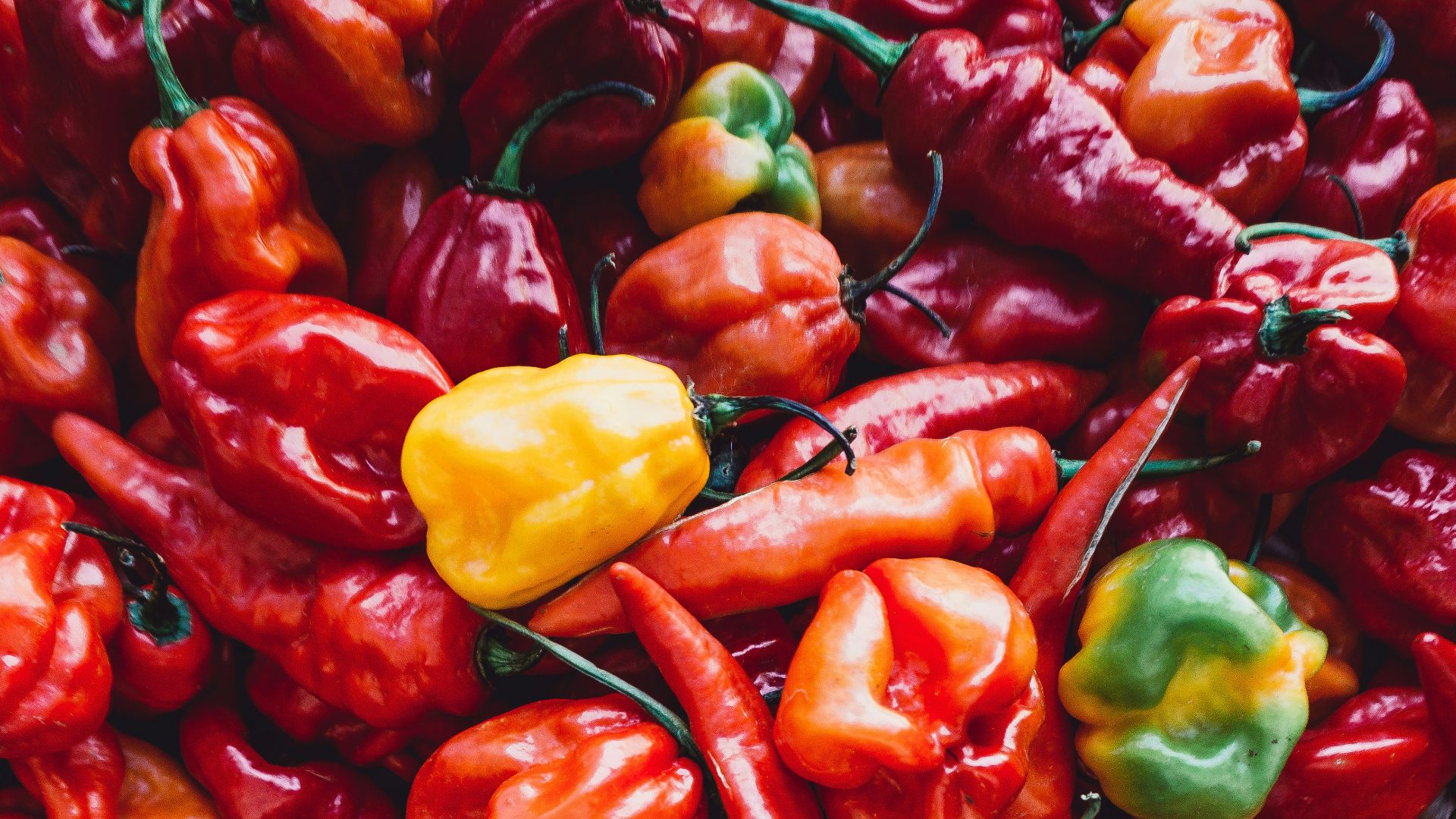 13. Sauce piquante spéciale extra-forte