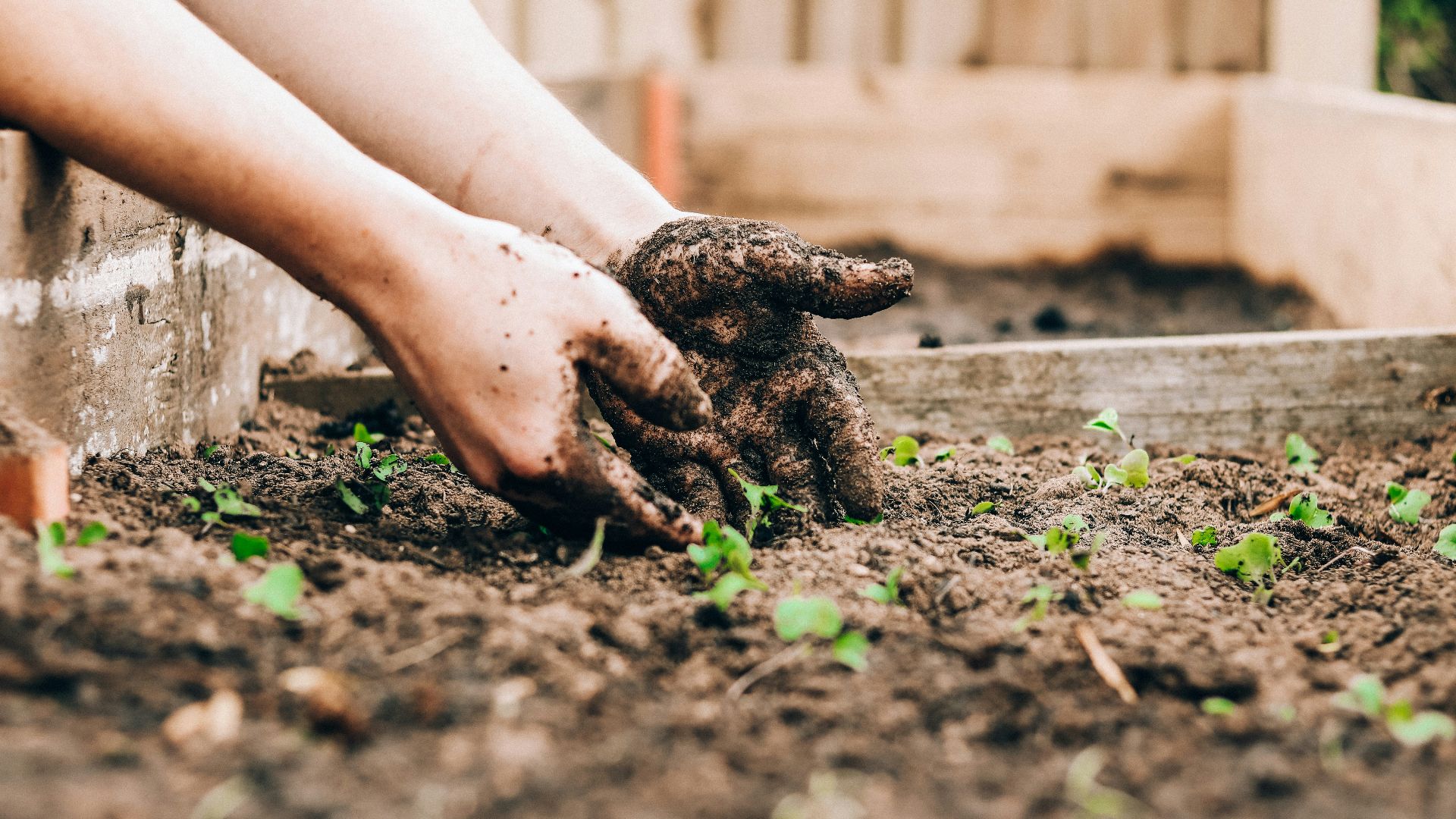 16. Jardinage et désherbage