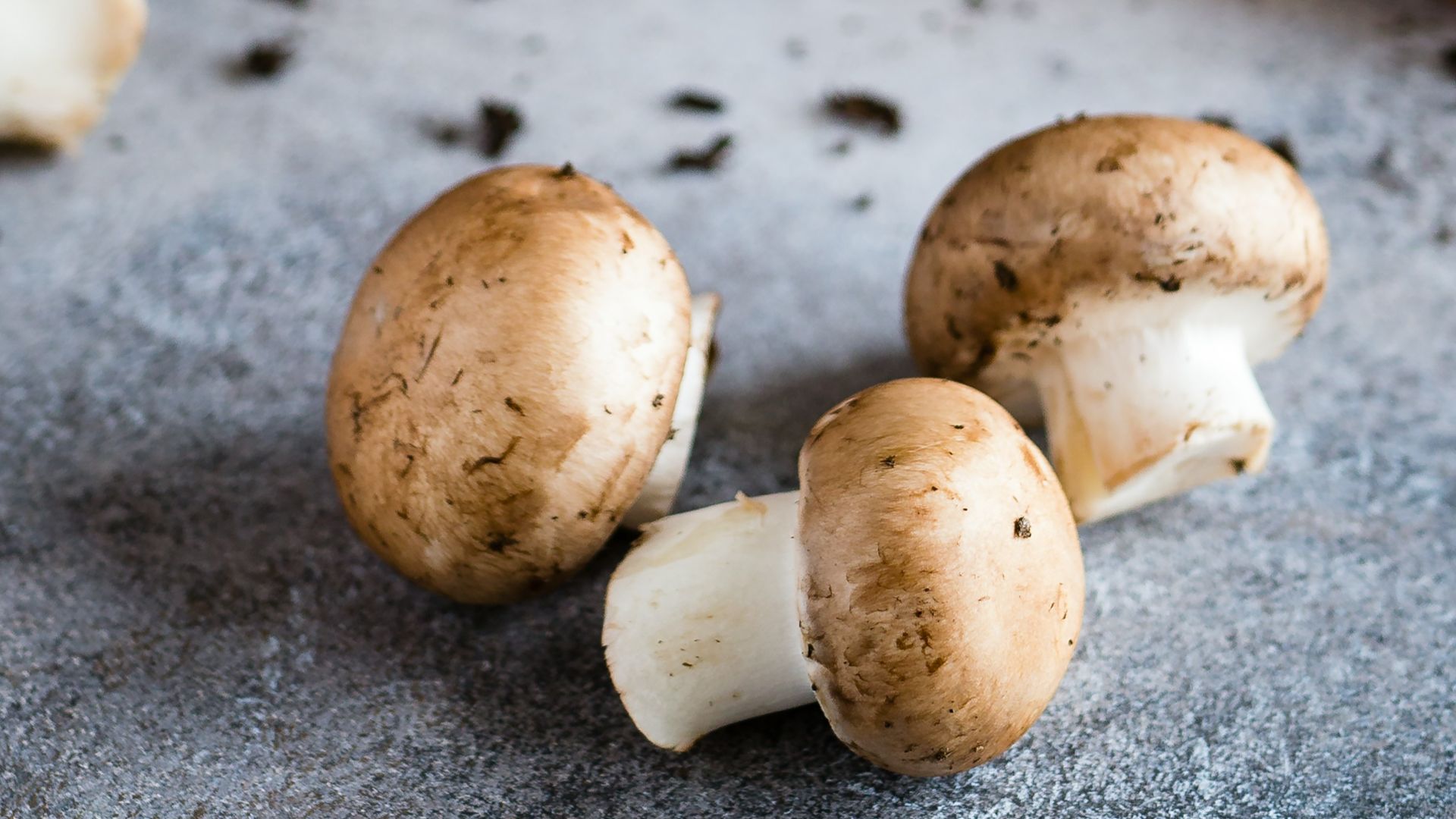 14. Champignons
