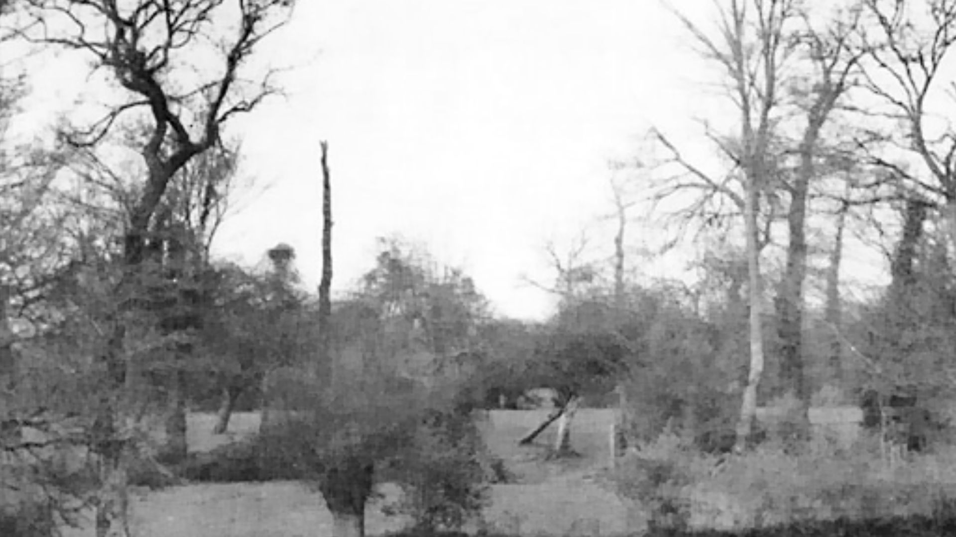 18. Contre-attaque en Normandie – Hésitation allemande